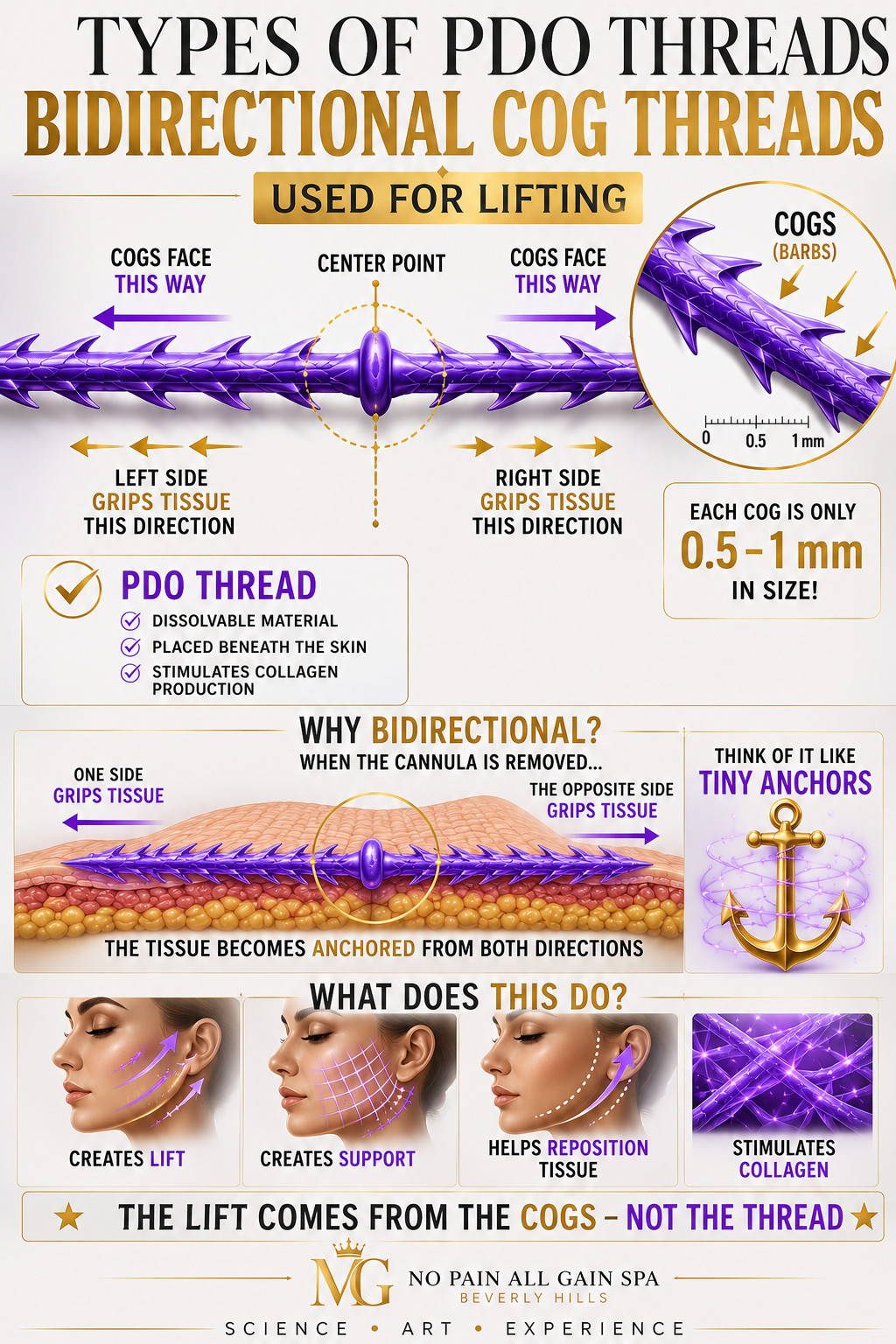 An infographic explaining types of PDO Threads, focusing on bidirectional cog threads used for lifting. The diagram shows the thread's structure, how it grips tissue, and its function like tiny anchors. It illustrates the thread's direction, tissue anchoring when the cannula is removed, and benefits such as creating lift, support, repositioning, and collagen stimulation.