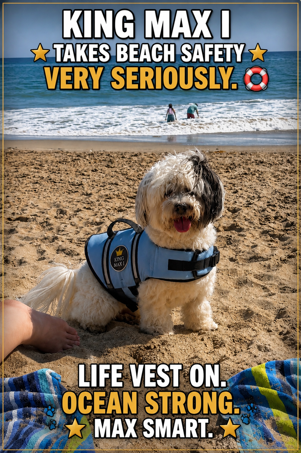 A cute dog wearing a life vest sitting on the sand at the beach, with the ocean and two people in the background. The image includes text: 'King Max I takes beach safety very seriously. Life vest on. Ocean strong. Max smart.'