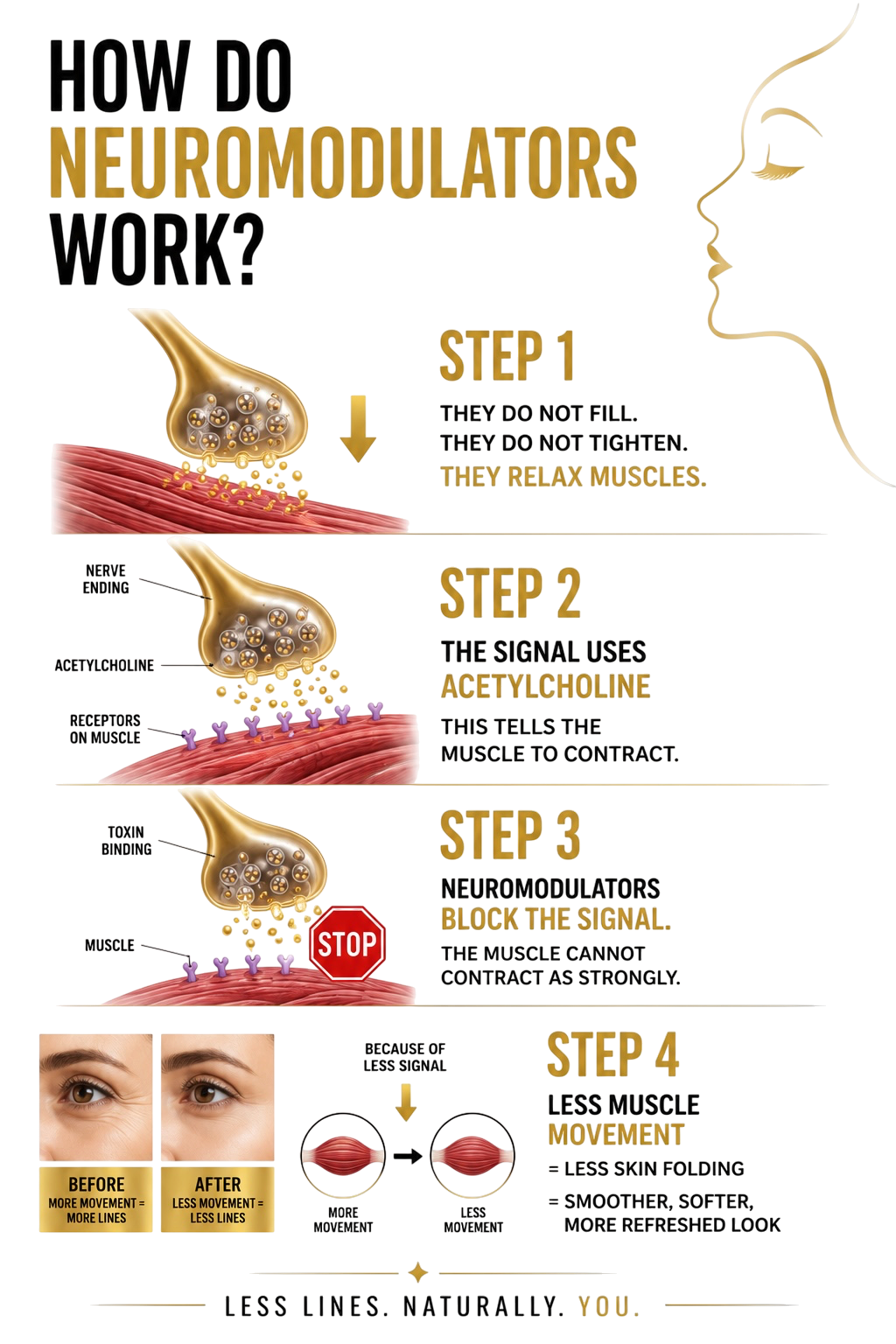 Diagram illustrating how neuromodulators work in muscle relaxation and contraction, showing the steps of neural signaling, neuromodulator blocking signals, and effects on skin appearance with before and after images of reduced wrinkles.