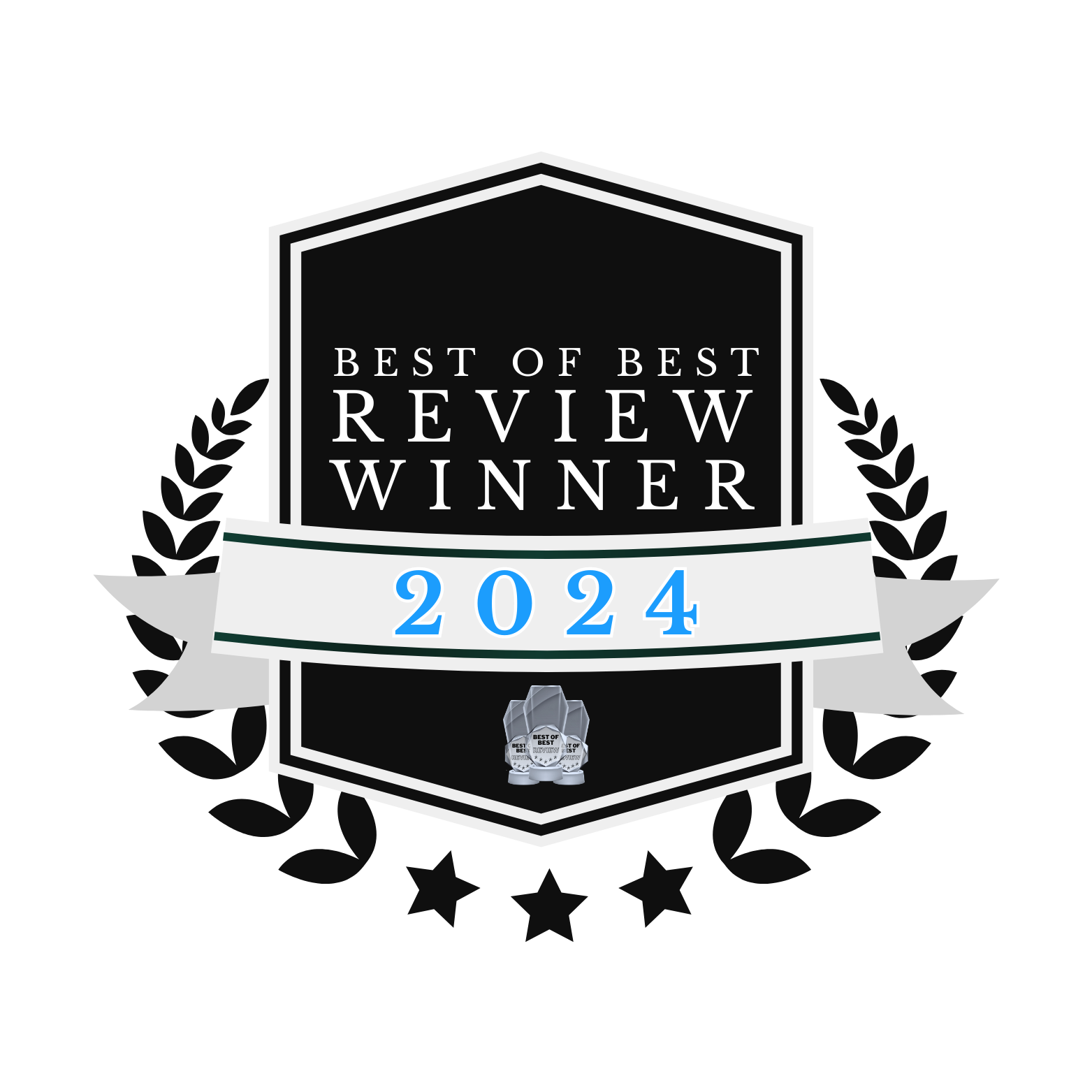 A black and silver award badge with a shield shape, featuring a ribbon banner with the year "2024" written in blue, and a small trophy at the bottom that says "Best of Best Review Winner."