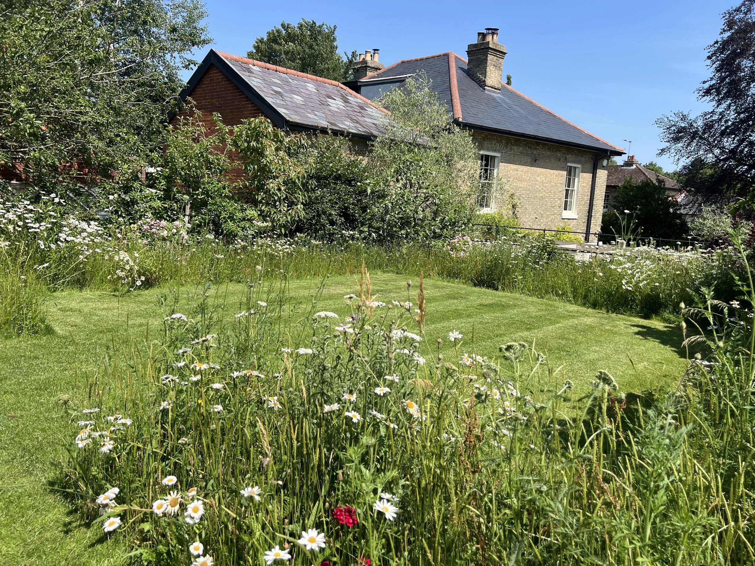 tempImageA8MdKG.jpg