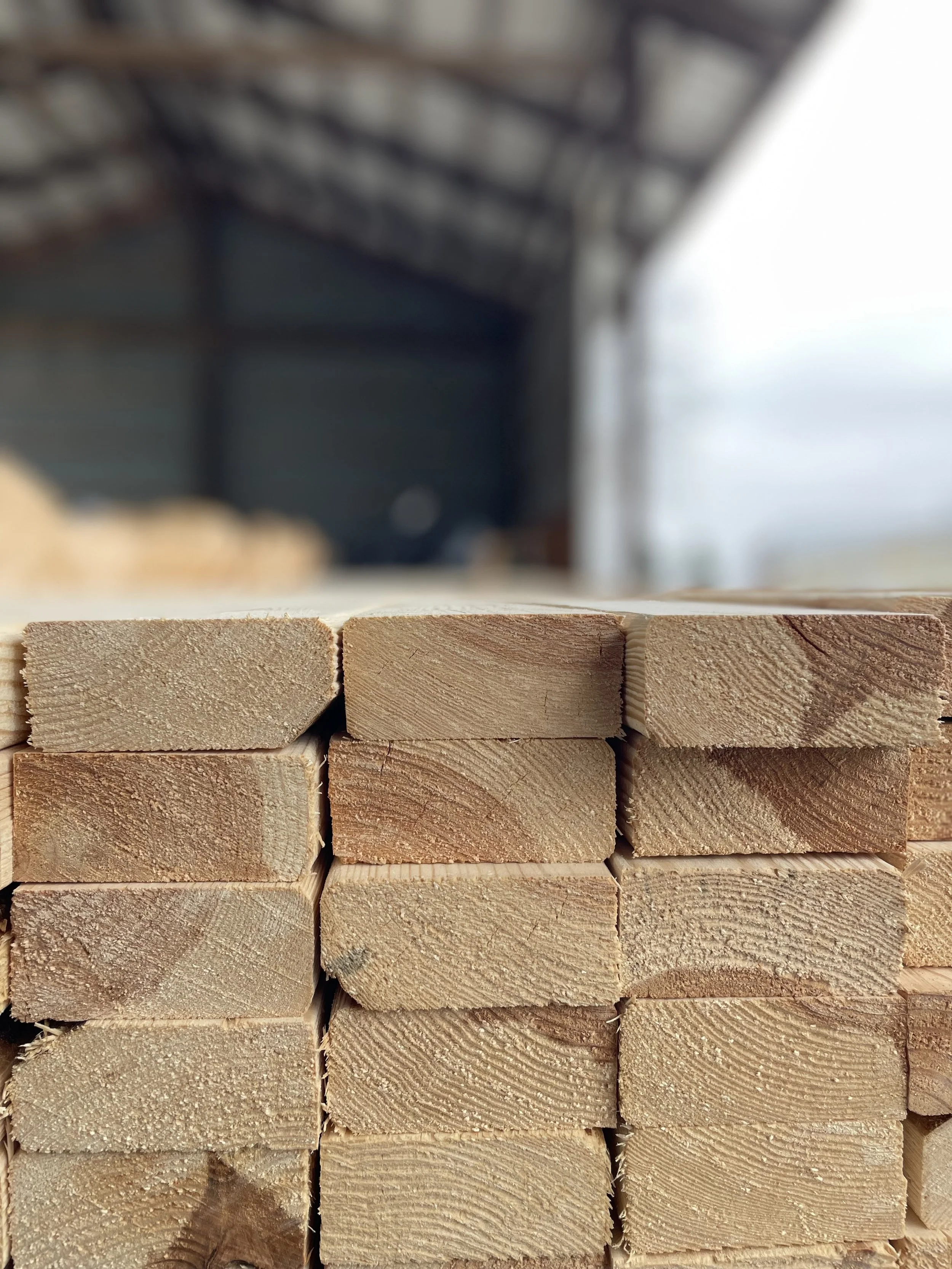 Plywood and Lumber Studs