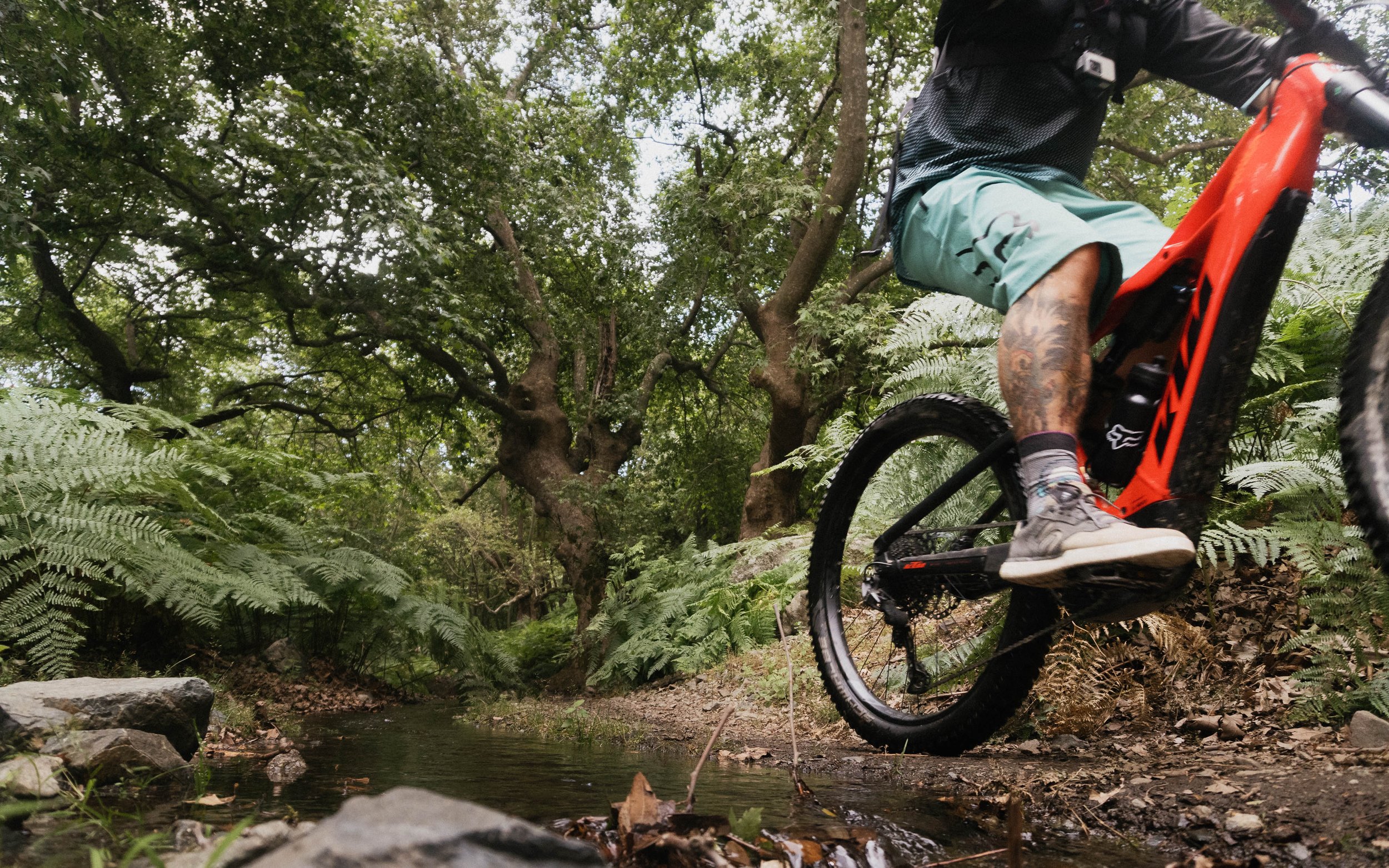 BillyTZP - Webiste 2025 - Commercial-18.jpg