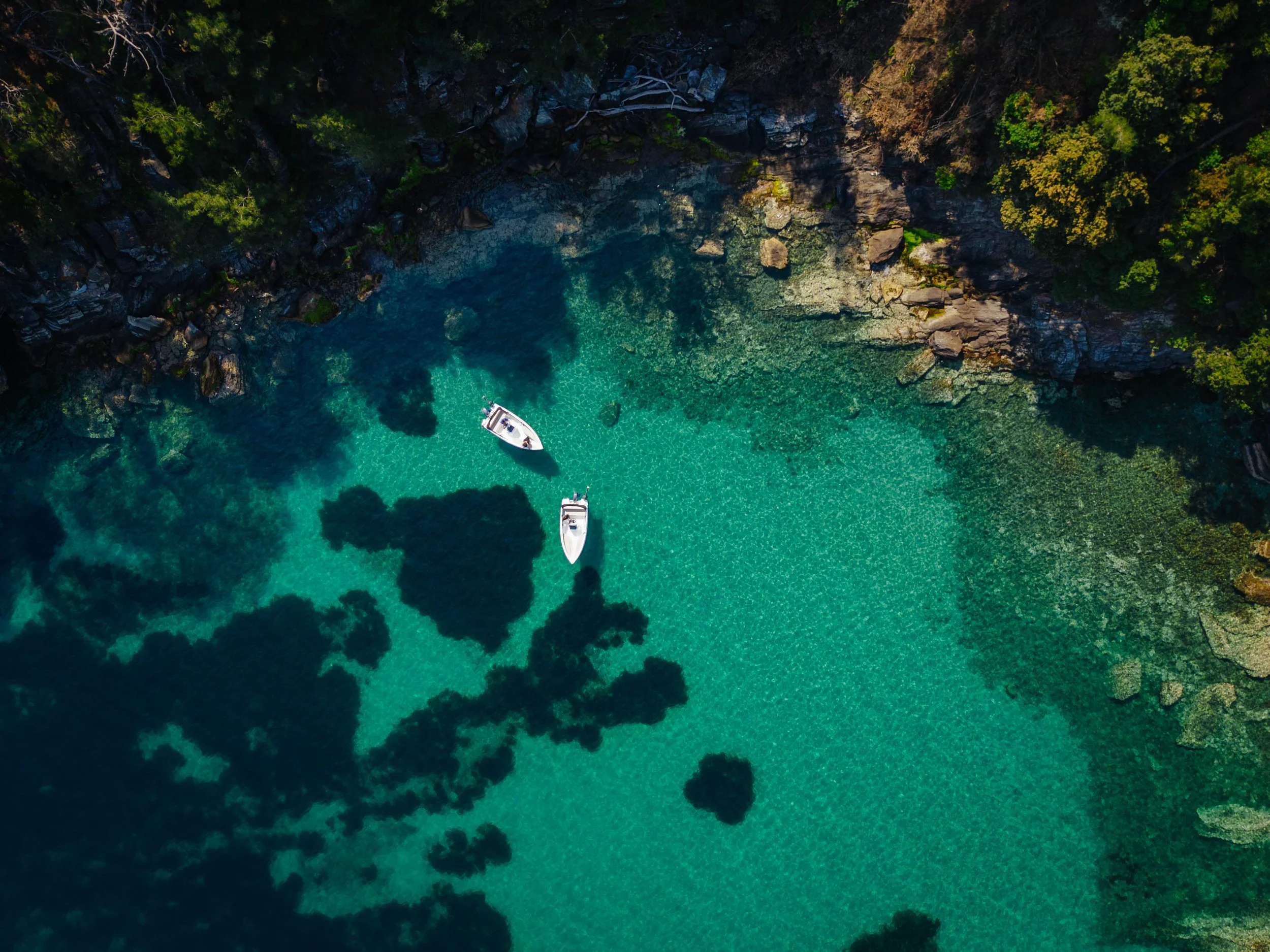 BillyTZP - Webiste 2025 - Commercial-21.jpg