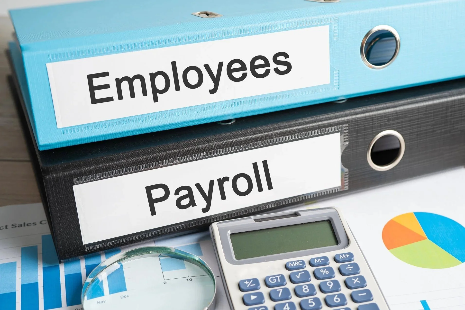 Payroll support for business