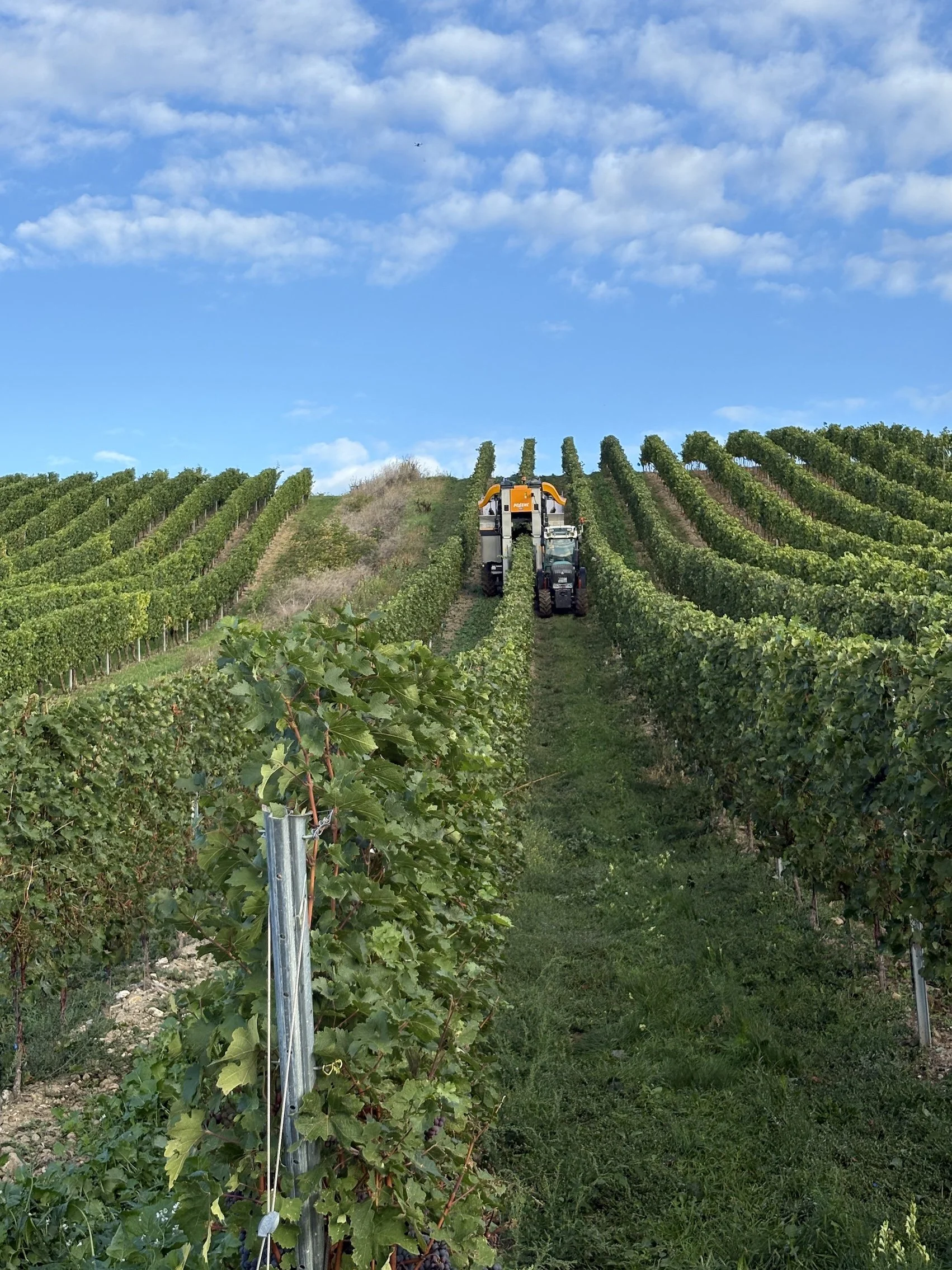 Bild 29.10.25 um 19.25 (1).jpeg