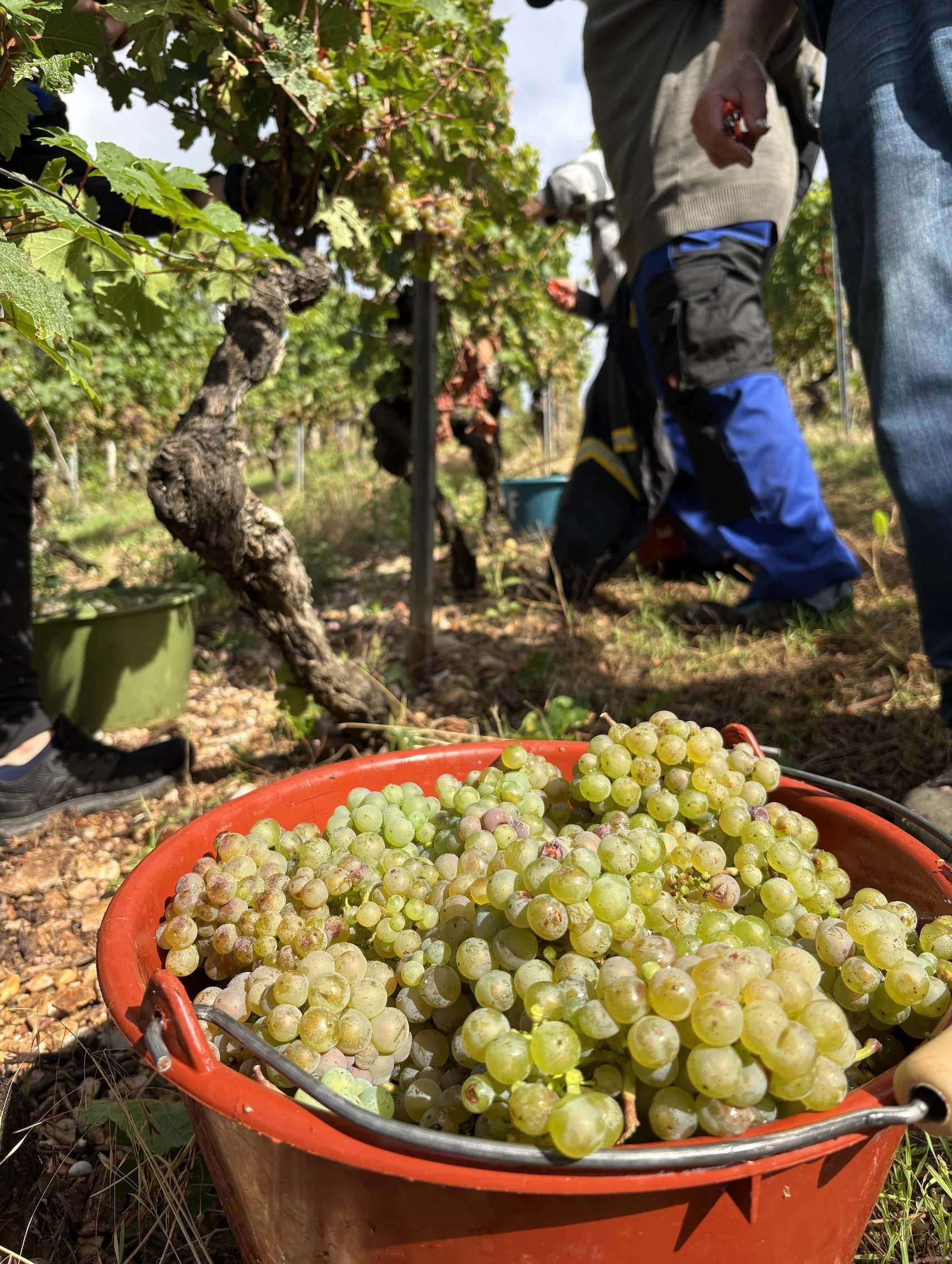 Bild 29.10.25 um 19.23.jpeg