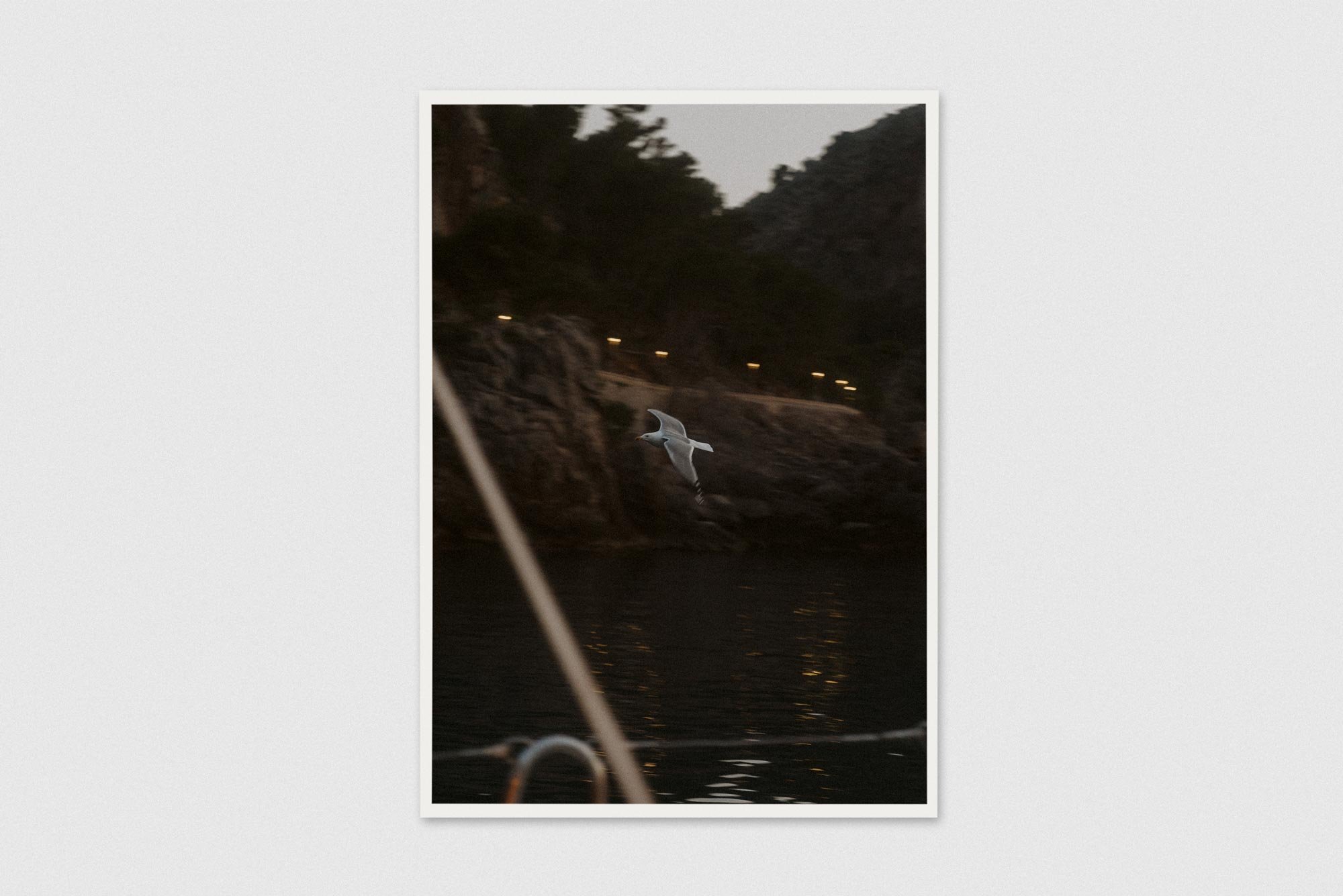 lars-maurer-sa-calobra-seagull-print-fine-art.jpg