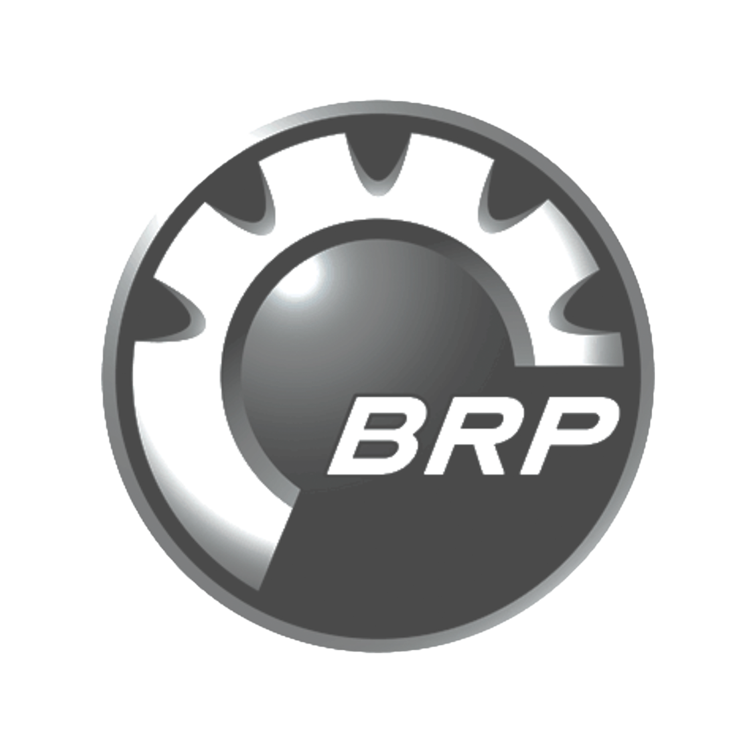 BRP logo.png