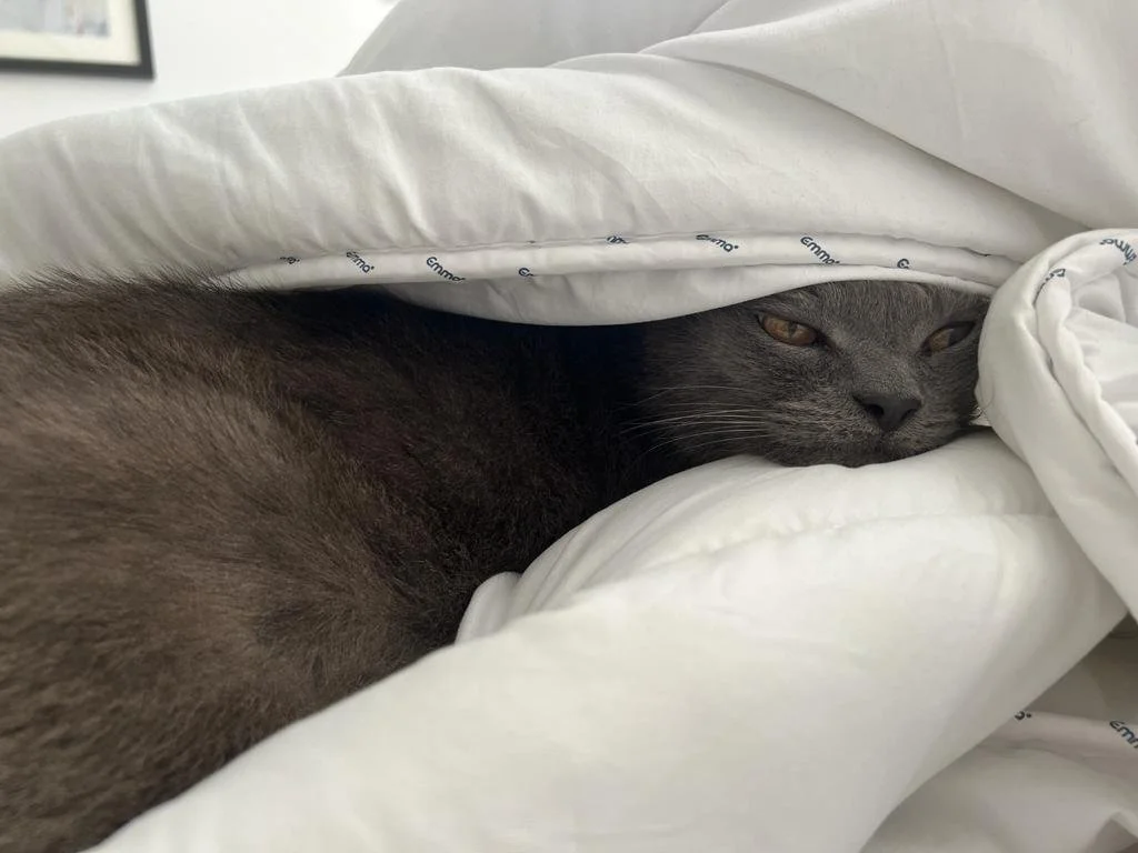 WhatsApp Image 2024-01-20 at 12.49.21.jpeg