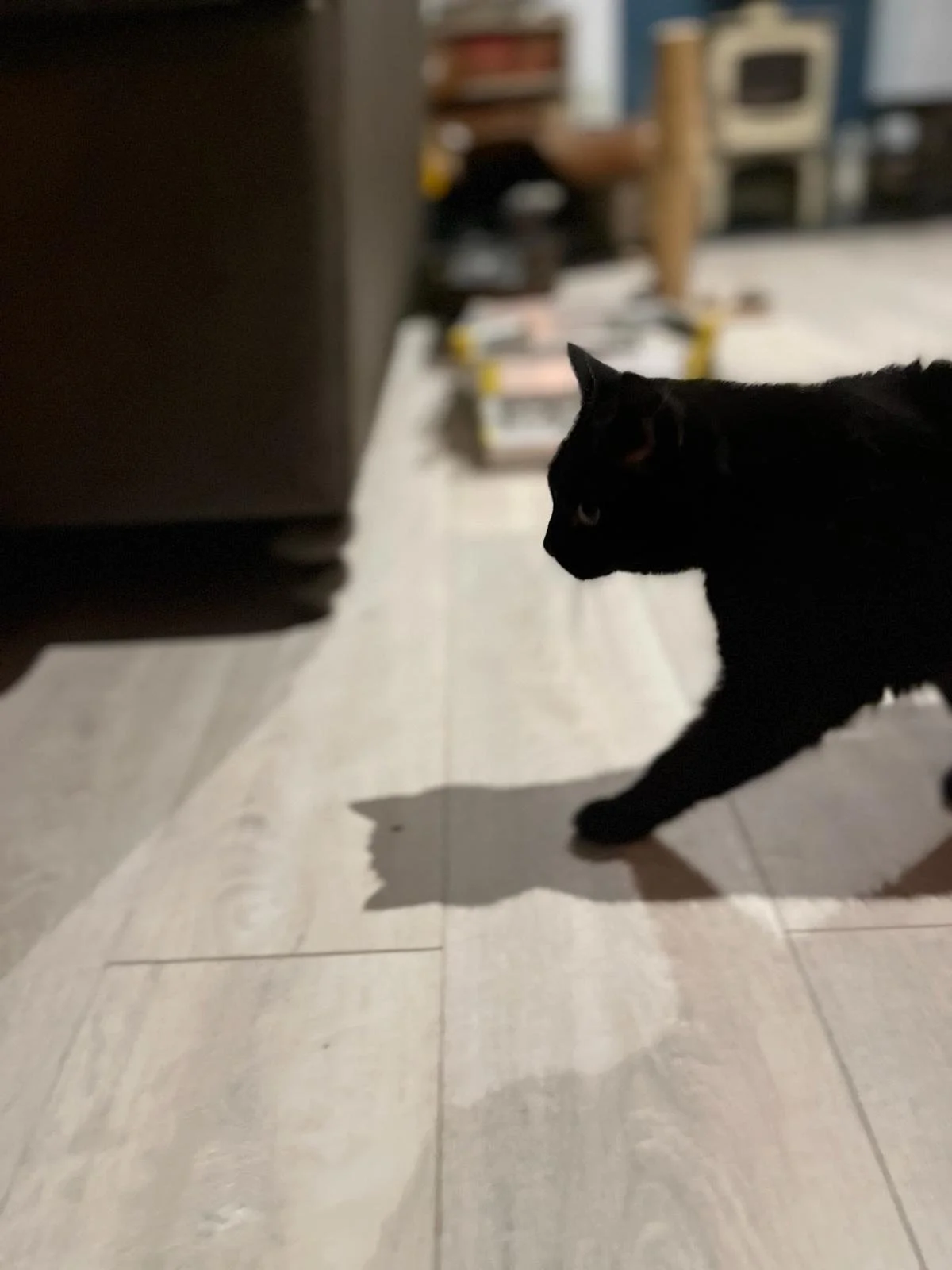 WhatsApp Image 2024-02-21 at 18.57.45.jpeg