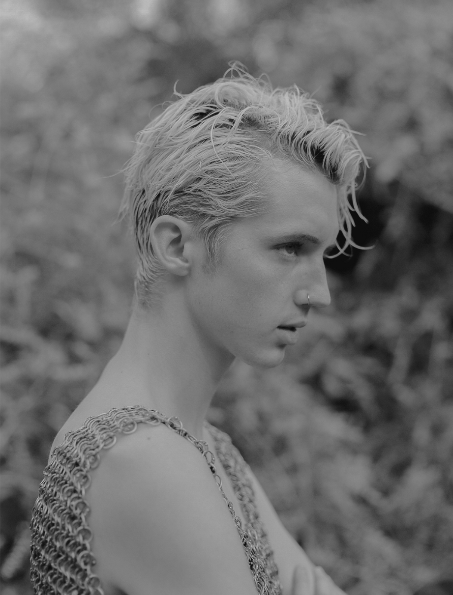 TROYE SIVAN CROP.png
