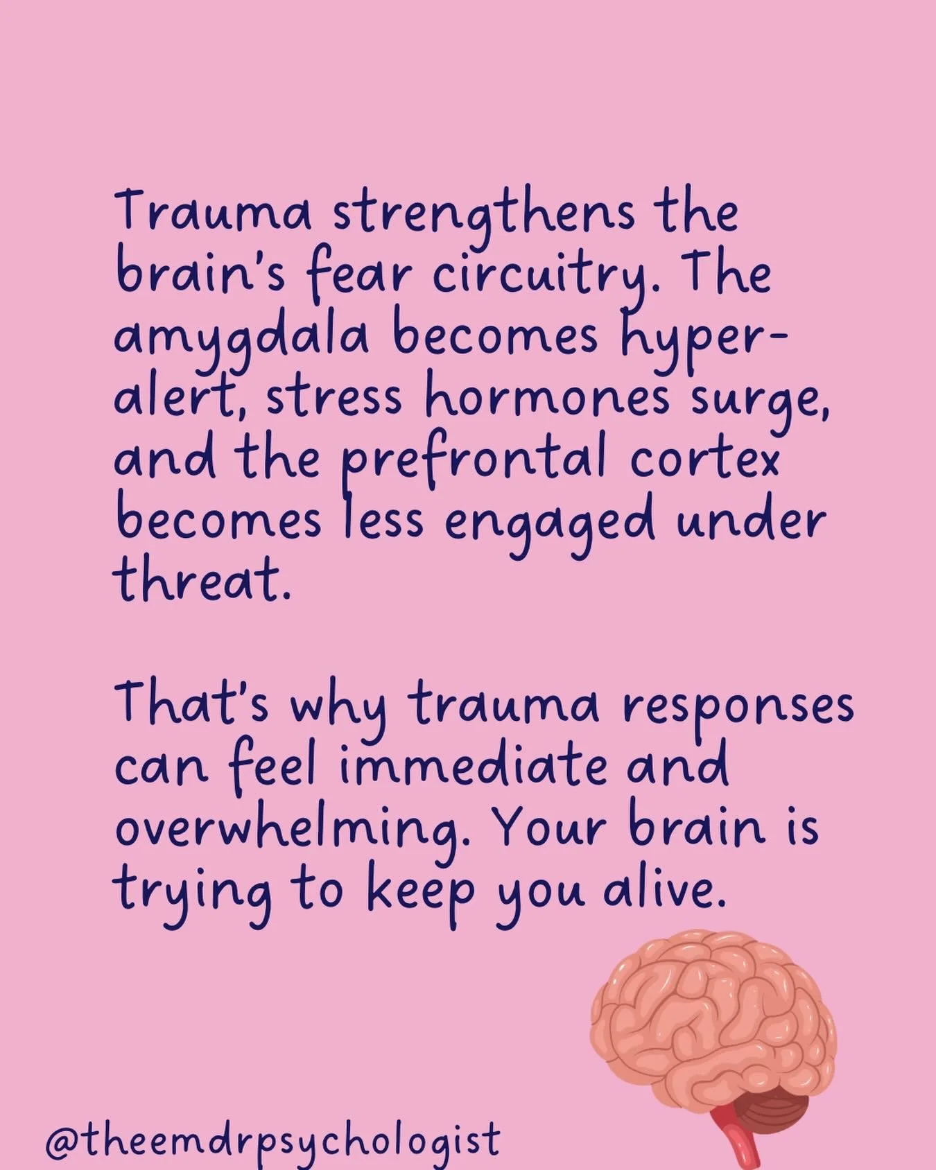 Trauma doesn&rsquo;t just affect memories - it changes how the brain detects and responds to danger.

When something genuinely threatening happens, the brain&rsquo;s survival system is meant to activate quickly. The amygdala detects potential danger 