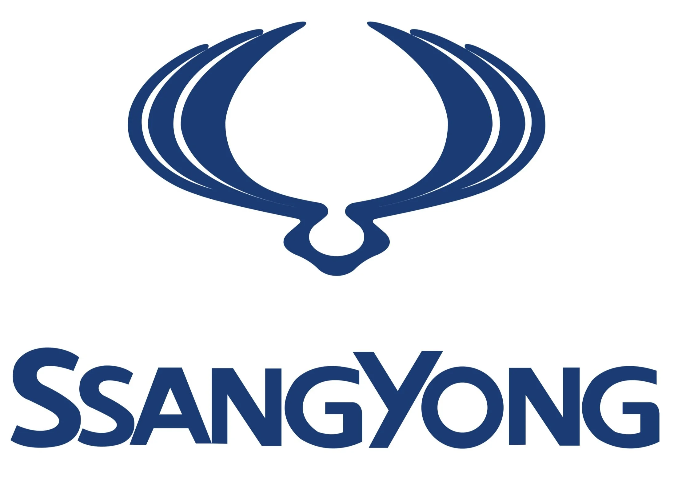 Logo di SsangYong con un simbolo blu stilizzato sopra il nome dell'azienda.
