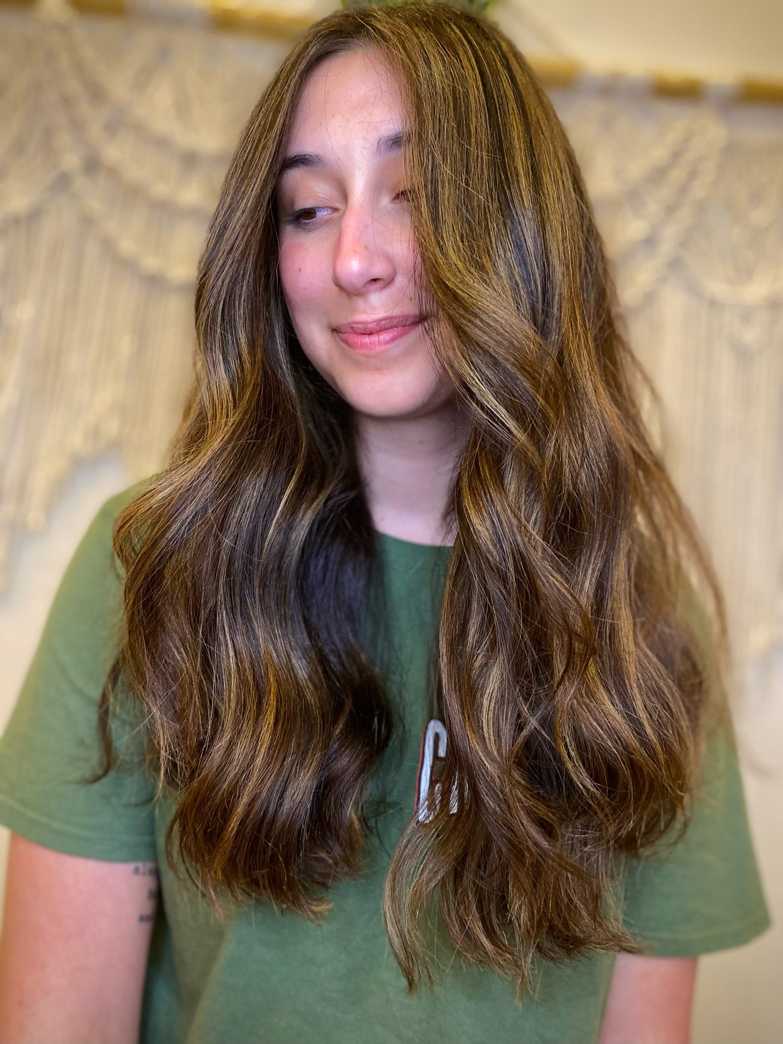 Brunette Hair with Highlights 