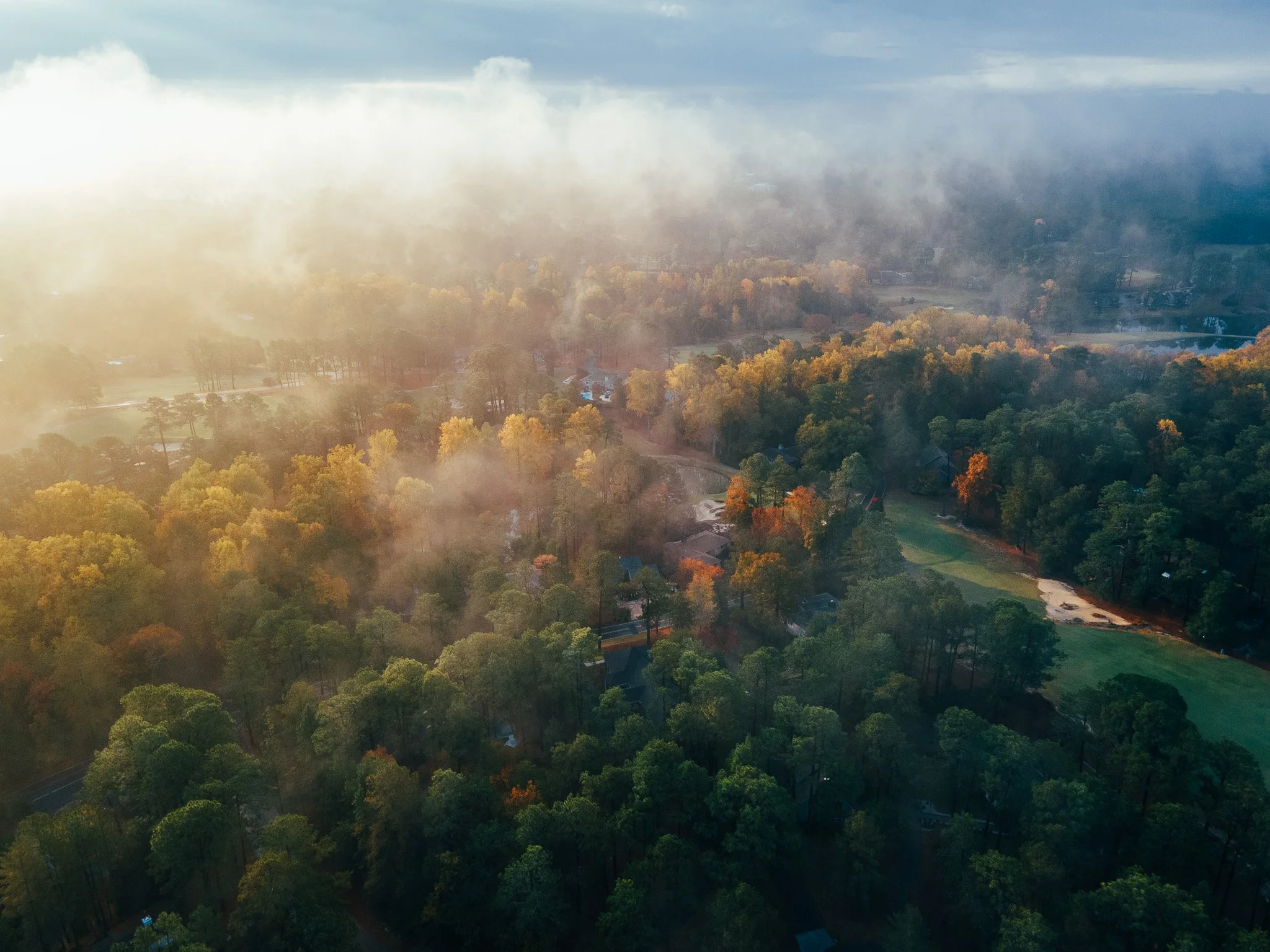 DJI_0124.jpg