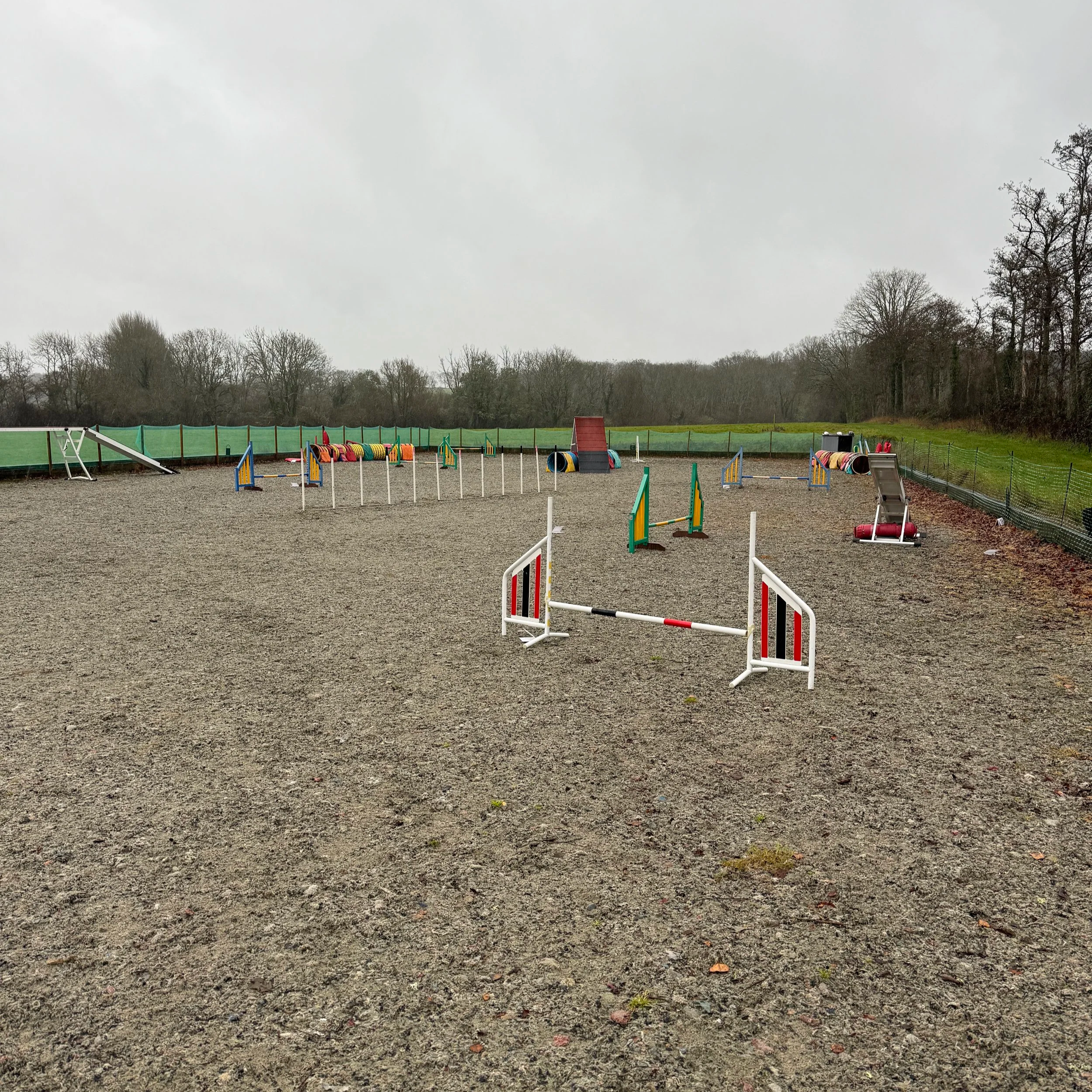 Dog agility lessons Farnham Surrey