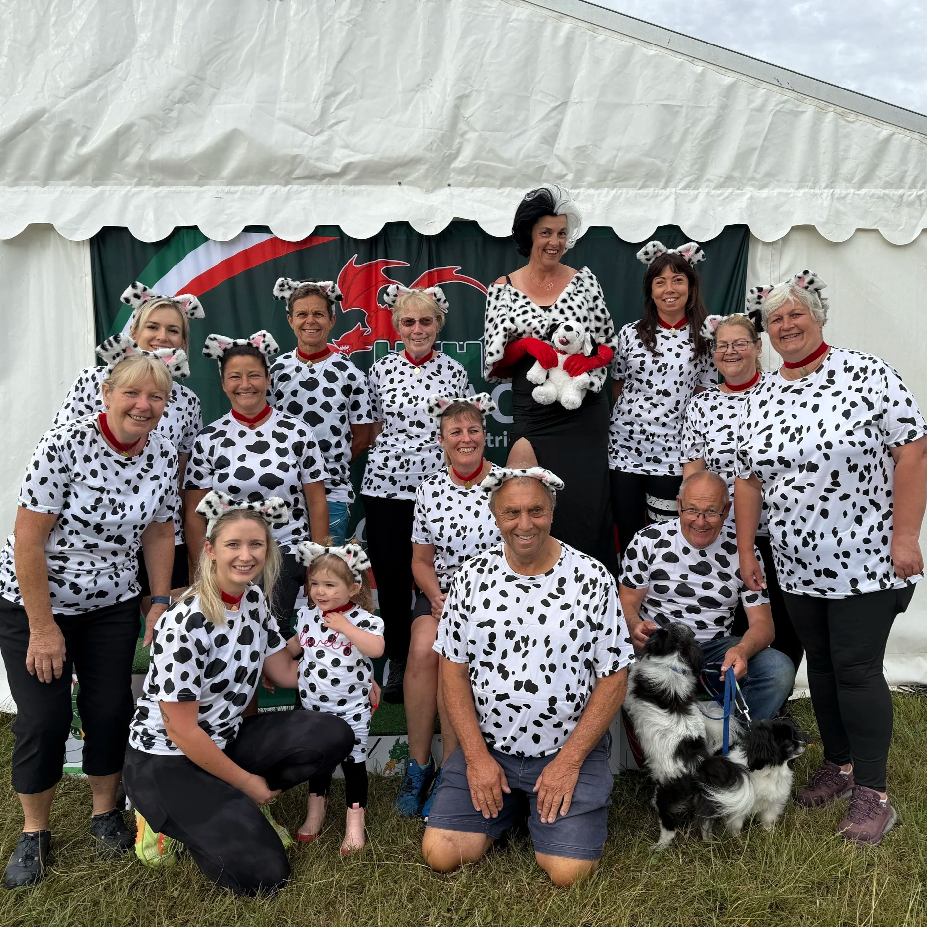 Dog agility training Farnham Club