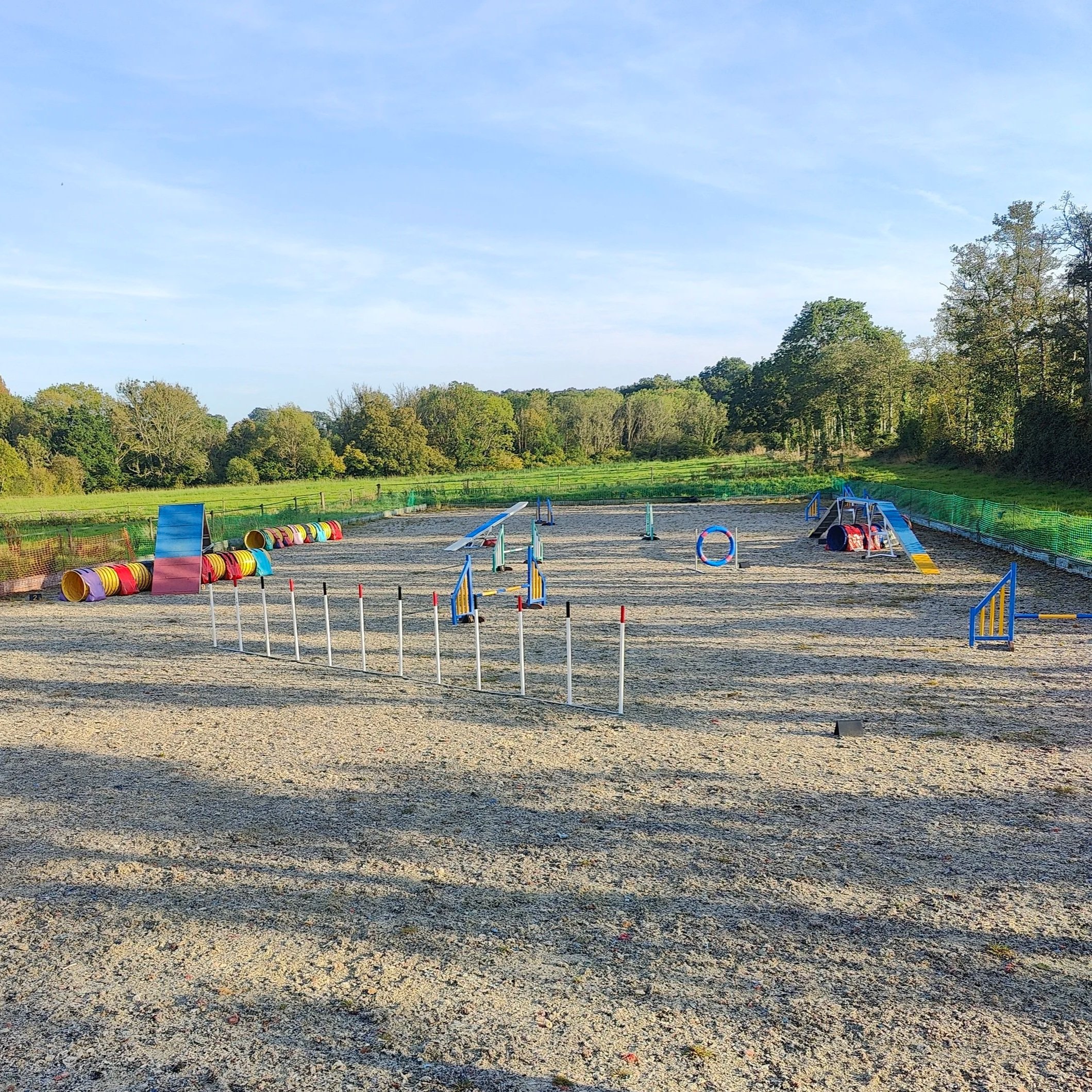 Dog agility small group classes Farnham