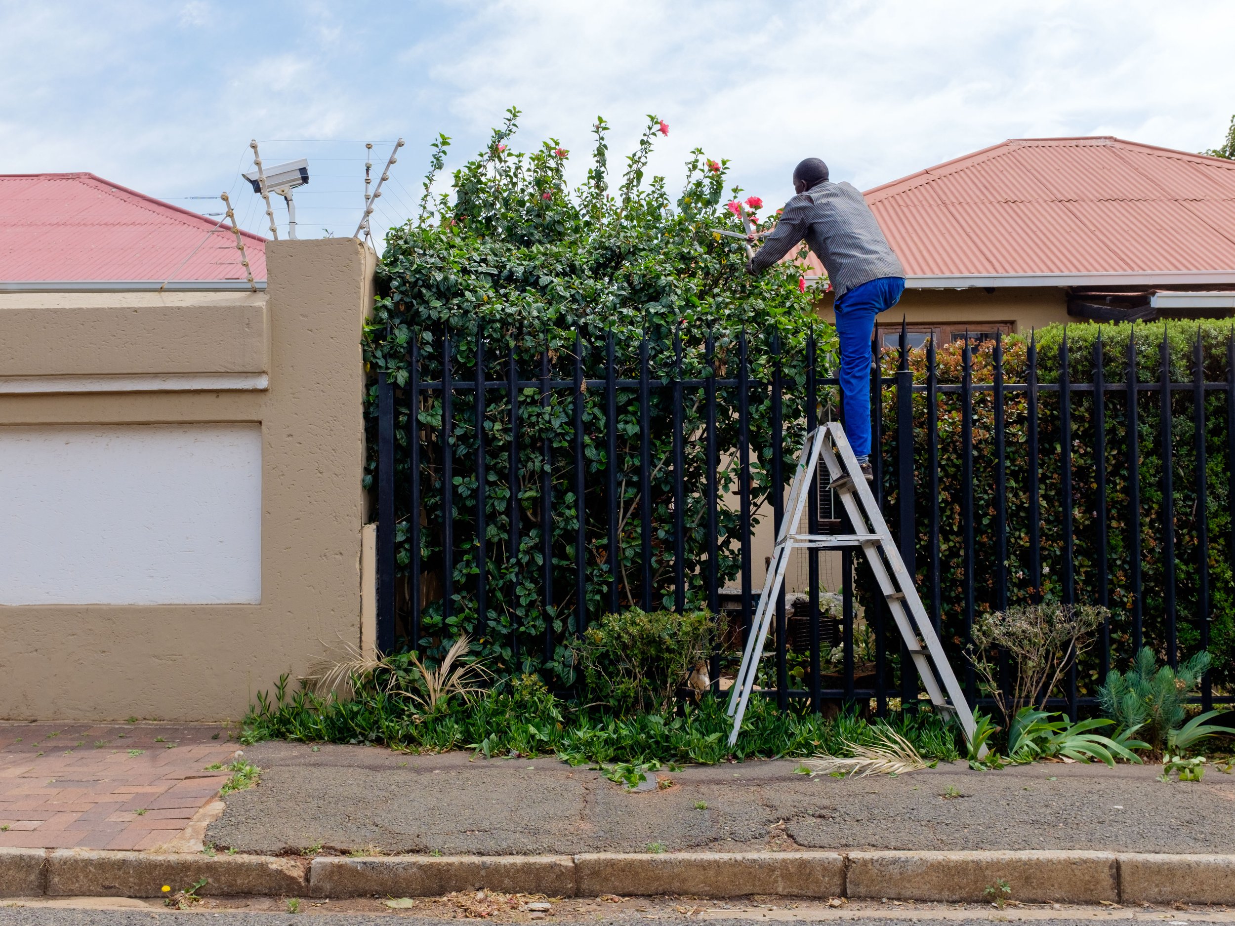 6 - The Glenn's gardener pruning the hedge..jpg