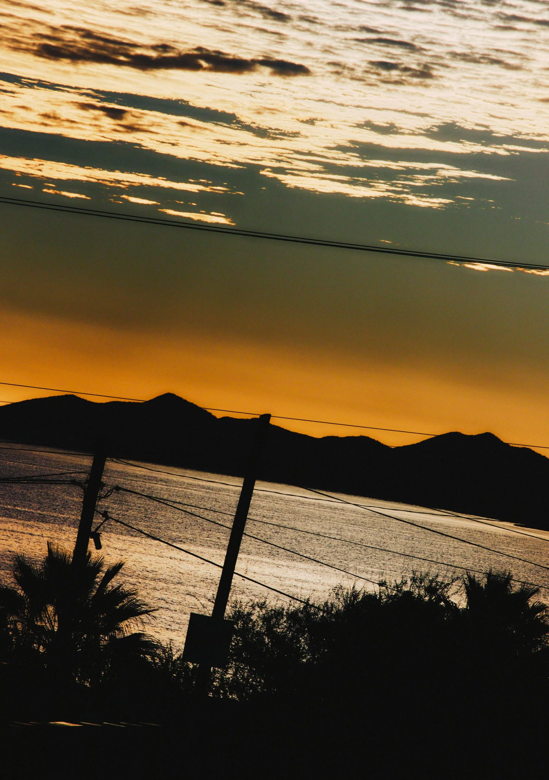 Mexico_2025_DSCF0243_by_Angus_MacKinnon_.jpg