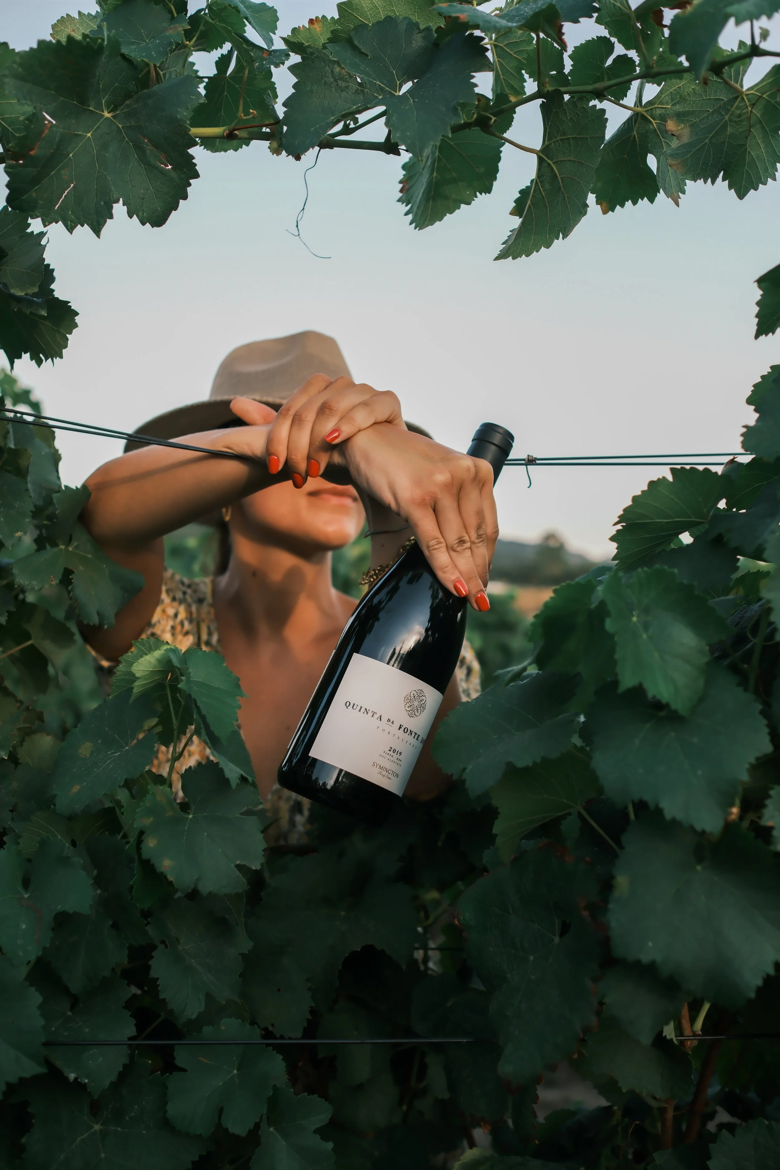 QUINTA DO VESÚVIO, 2025