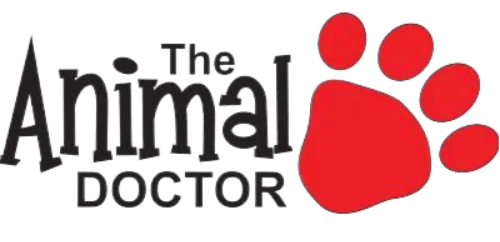 Animal Doctor