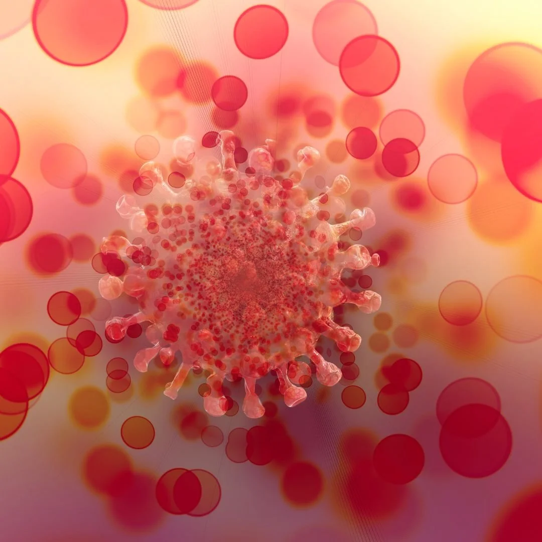 African universities asked to join global COVID survey