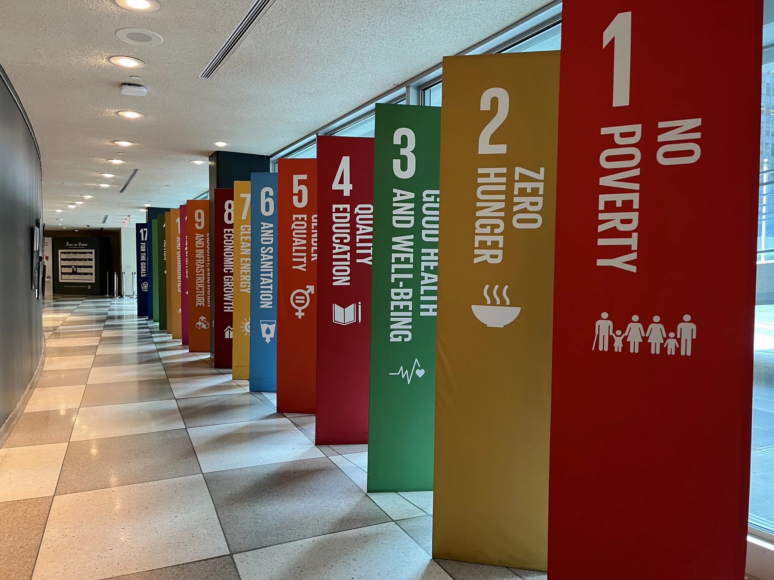 IAU at the UN HLPF 2025