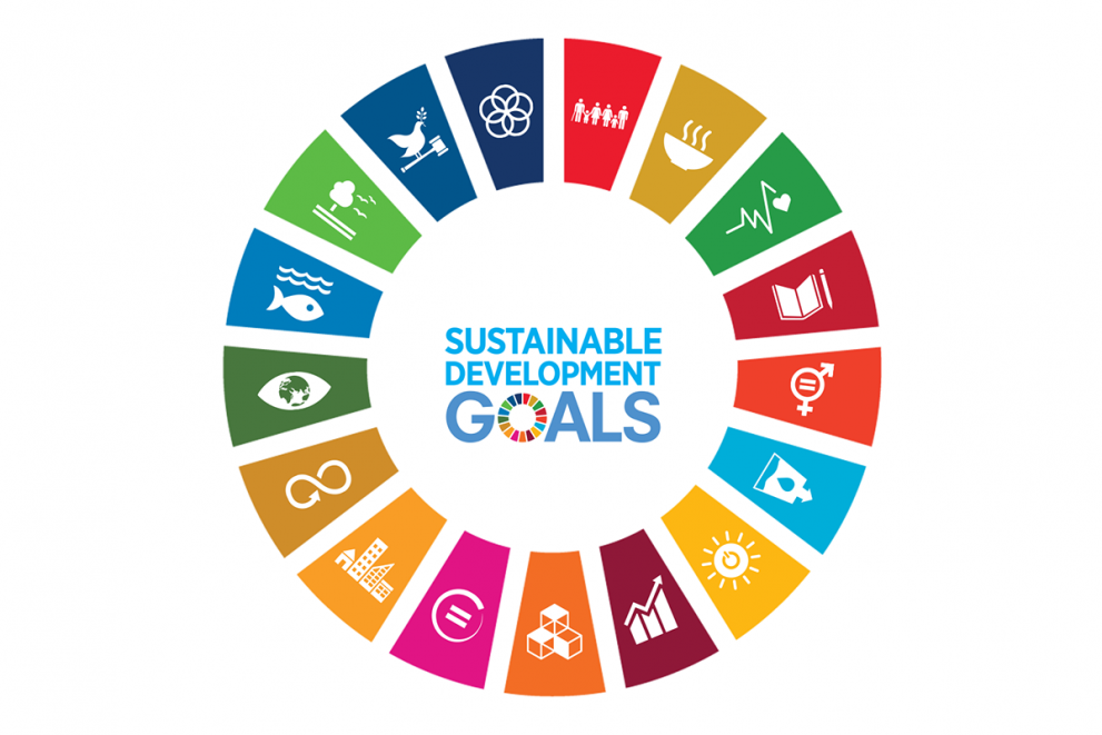 Call for IAU Members to join the IAU HESD Cluster (SDG 9, 10, 15)