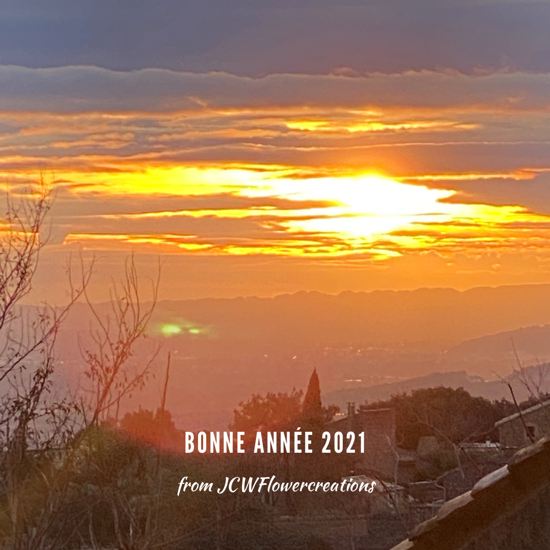 Bonne Année / Happy New Year