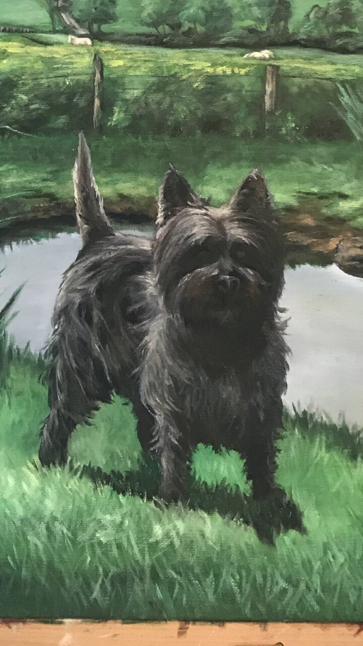 New portrait almost finished