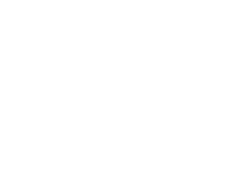 THE ART OF SKIN
