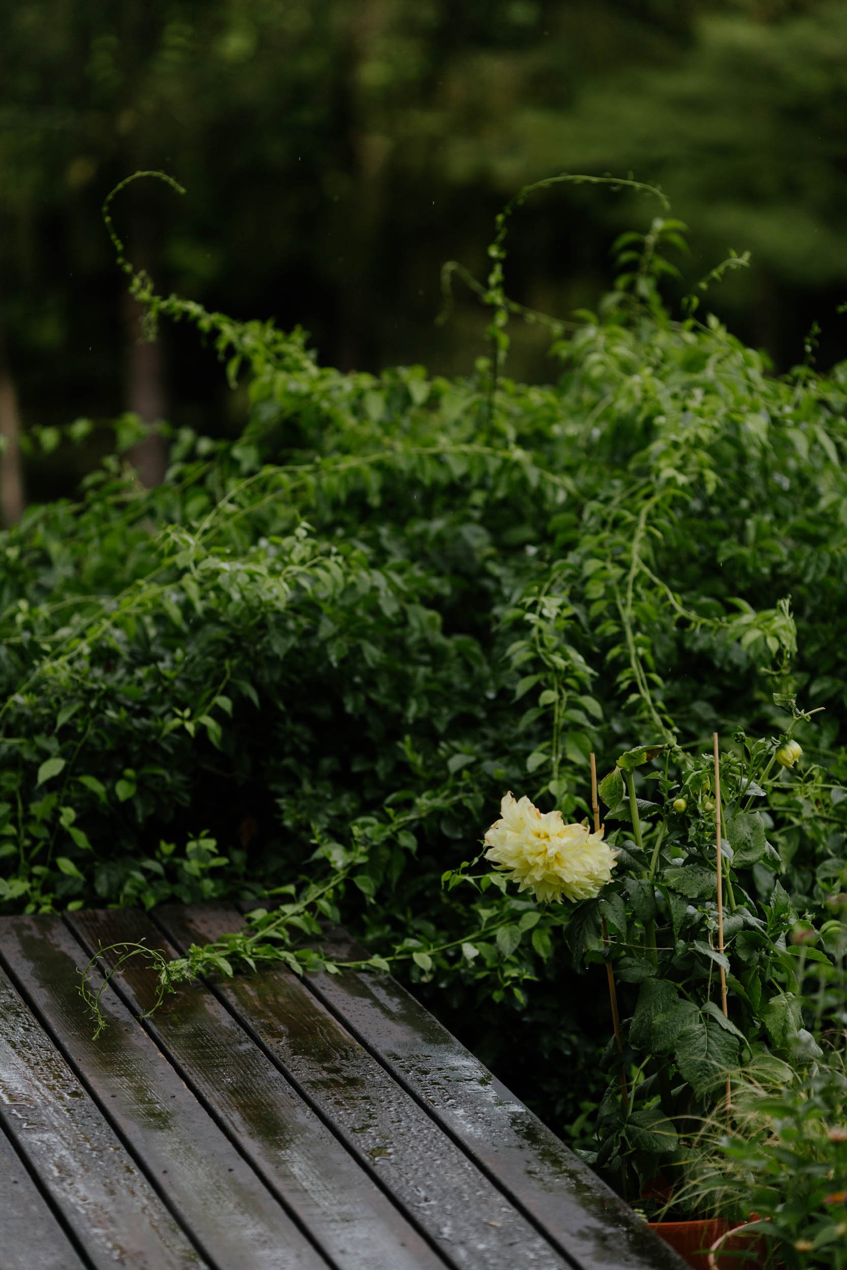 EXTERIORS-13-Edit.jpg