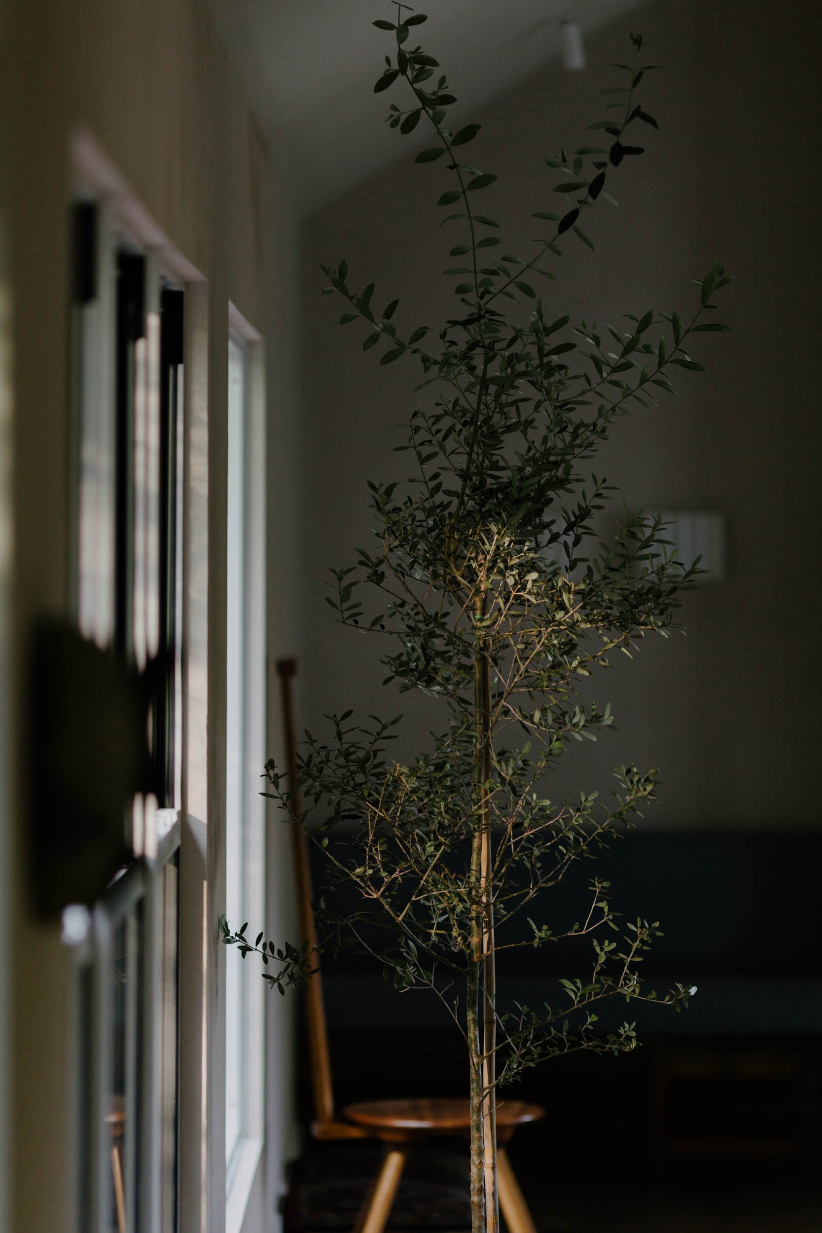 LIVING-75-Edit.jpg