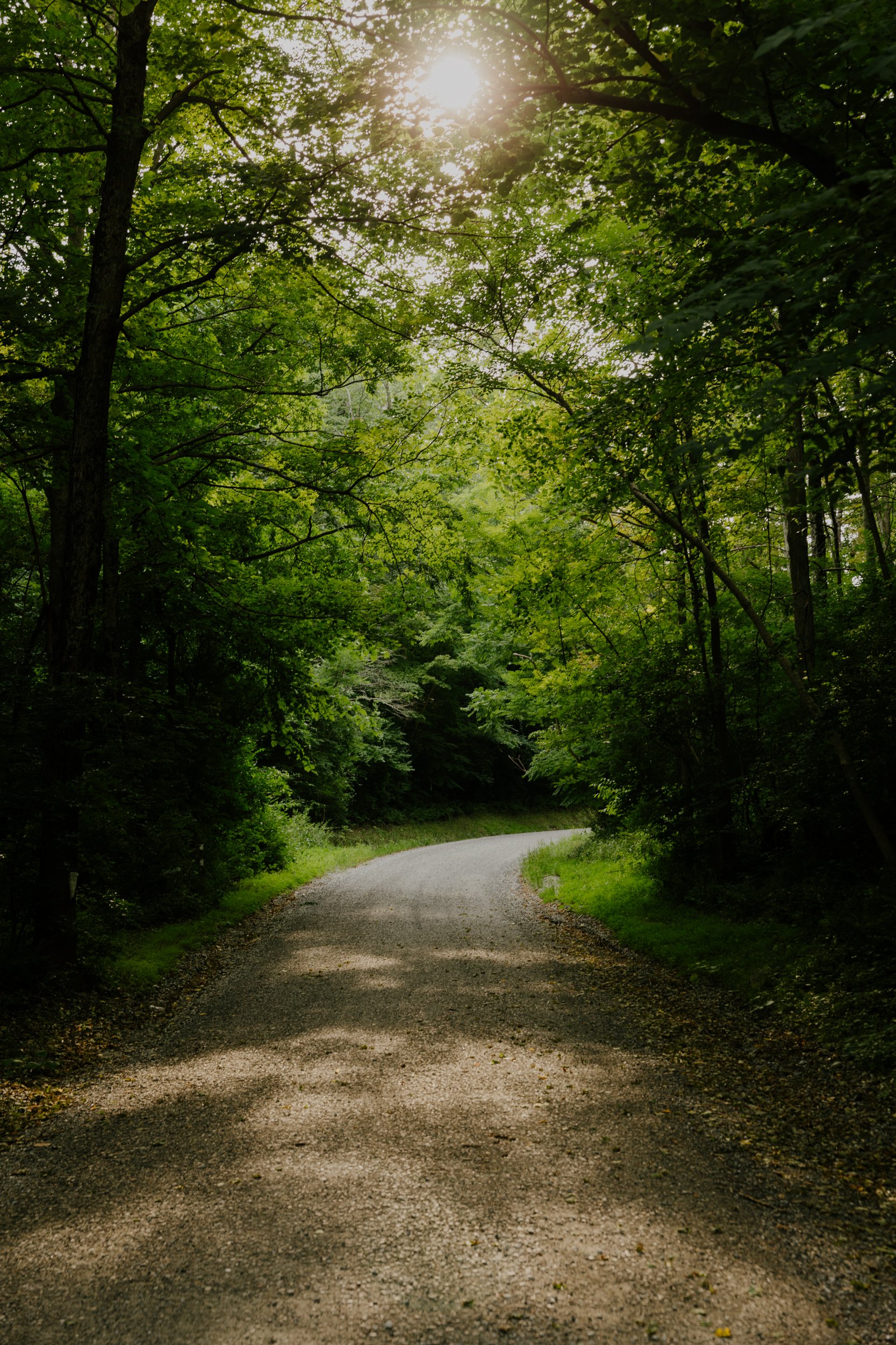 LANDSCAPE-3-Edit.jpg