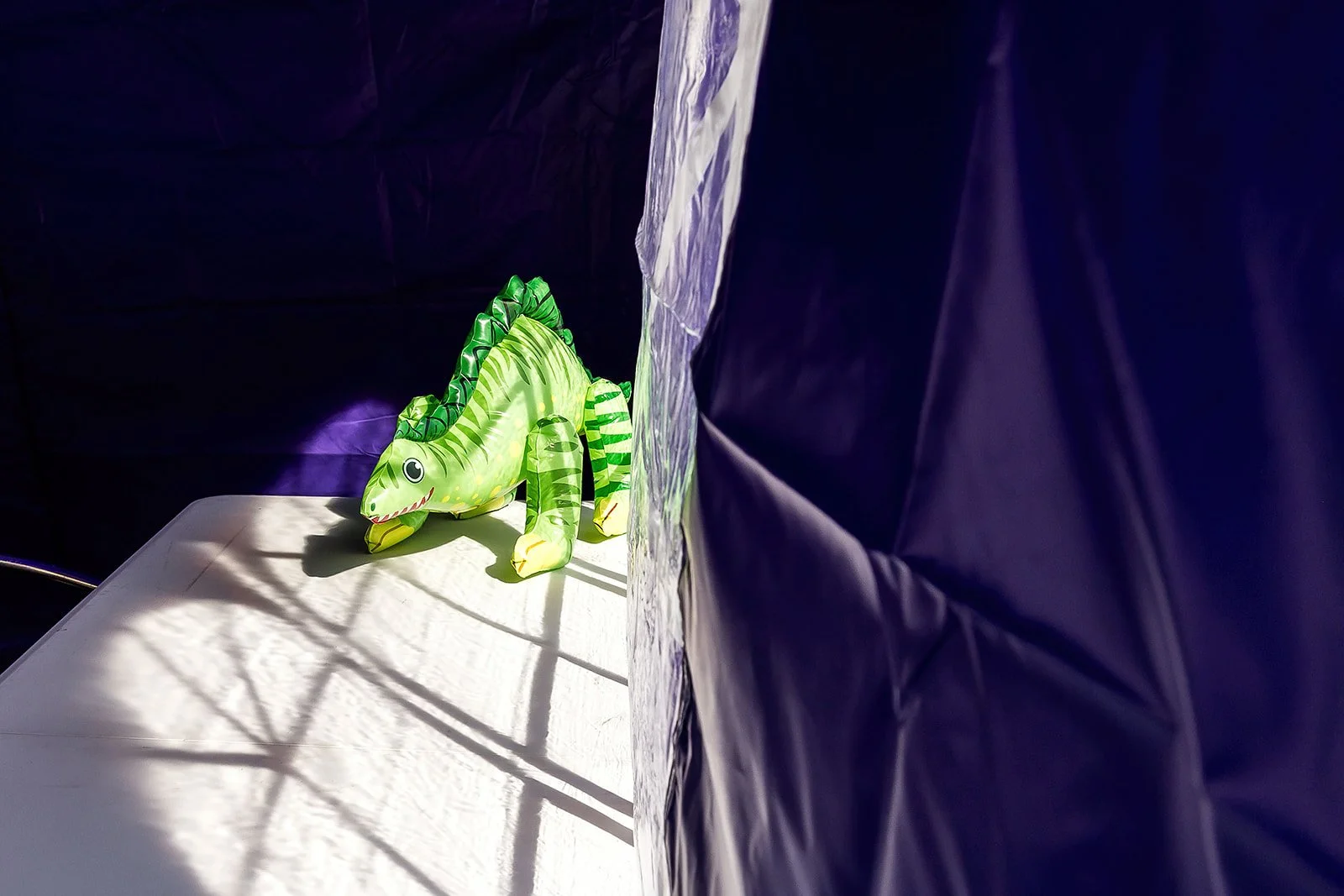 Brighouse_DinosaurDAy_25_ (30 of 558).jpg