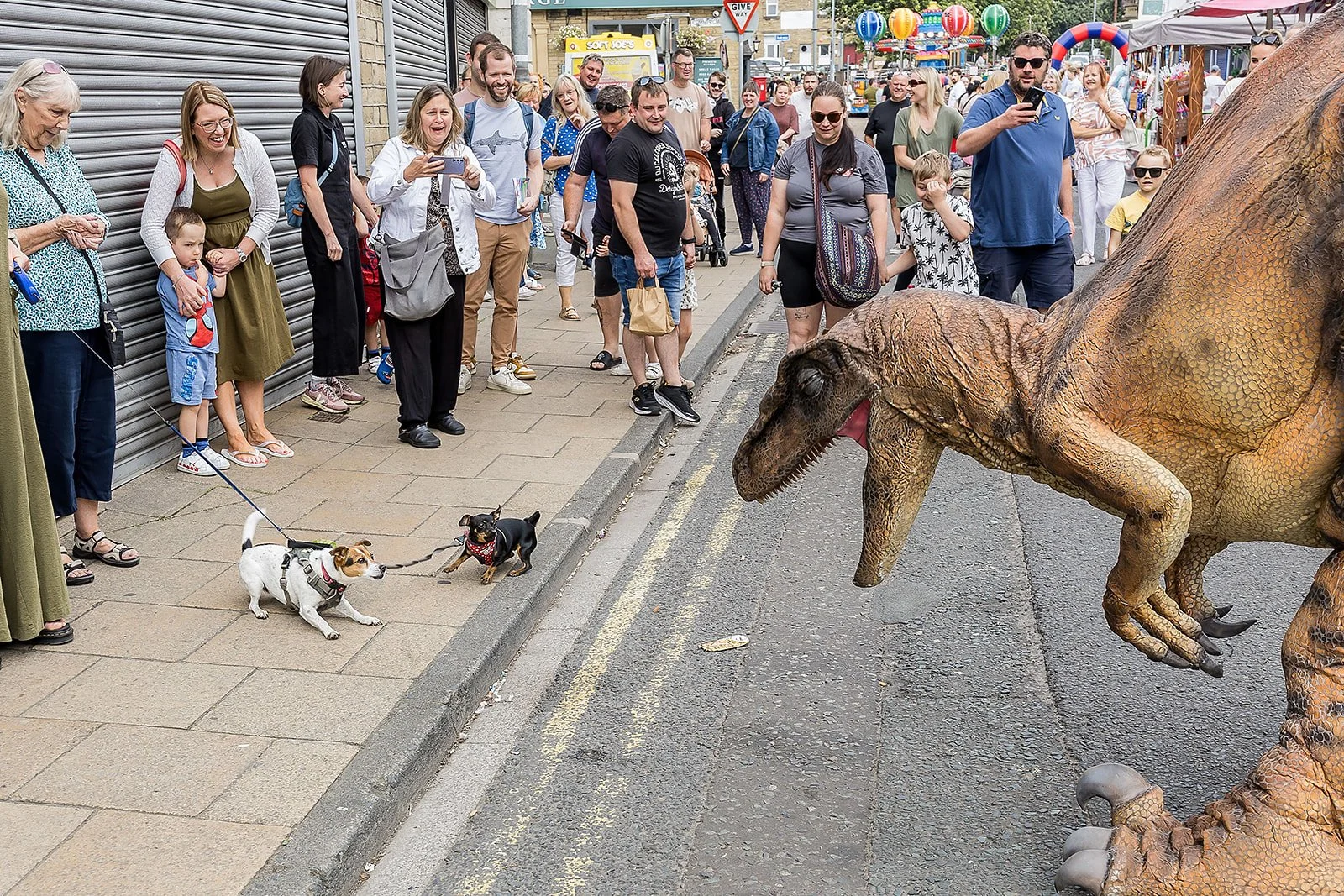 Brighouse_DinosaurDAy_25_ (134 of 558).jpg