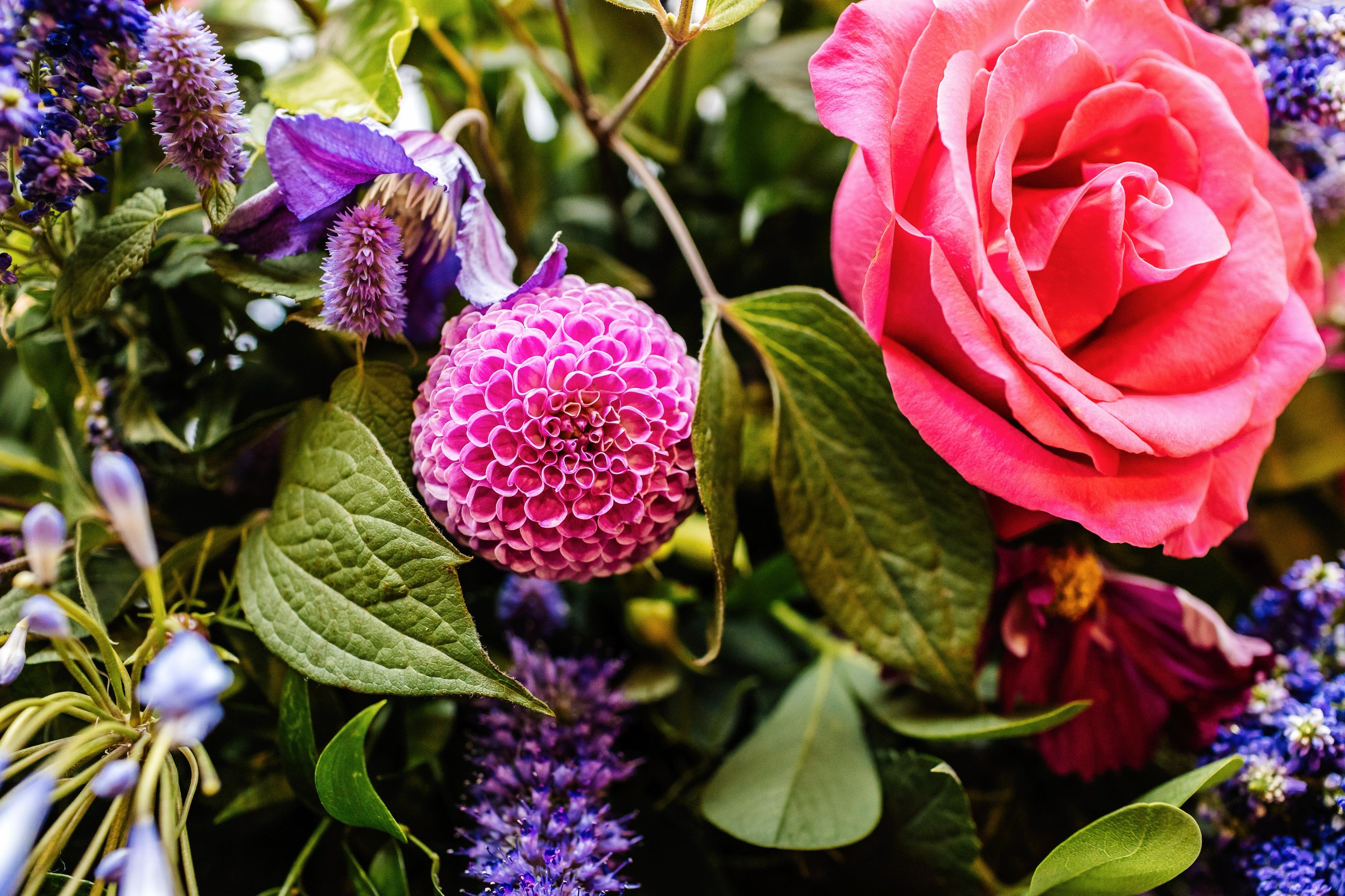 Spicer_Manor_Wedding_Isy_Ian40.JPG