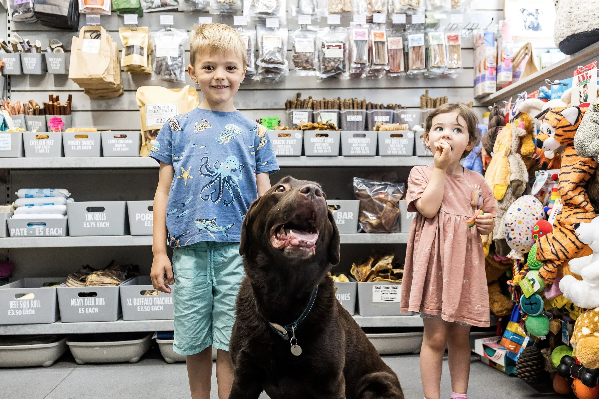 King Street Pets, Brighouse: where it all started