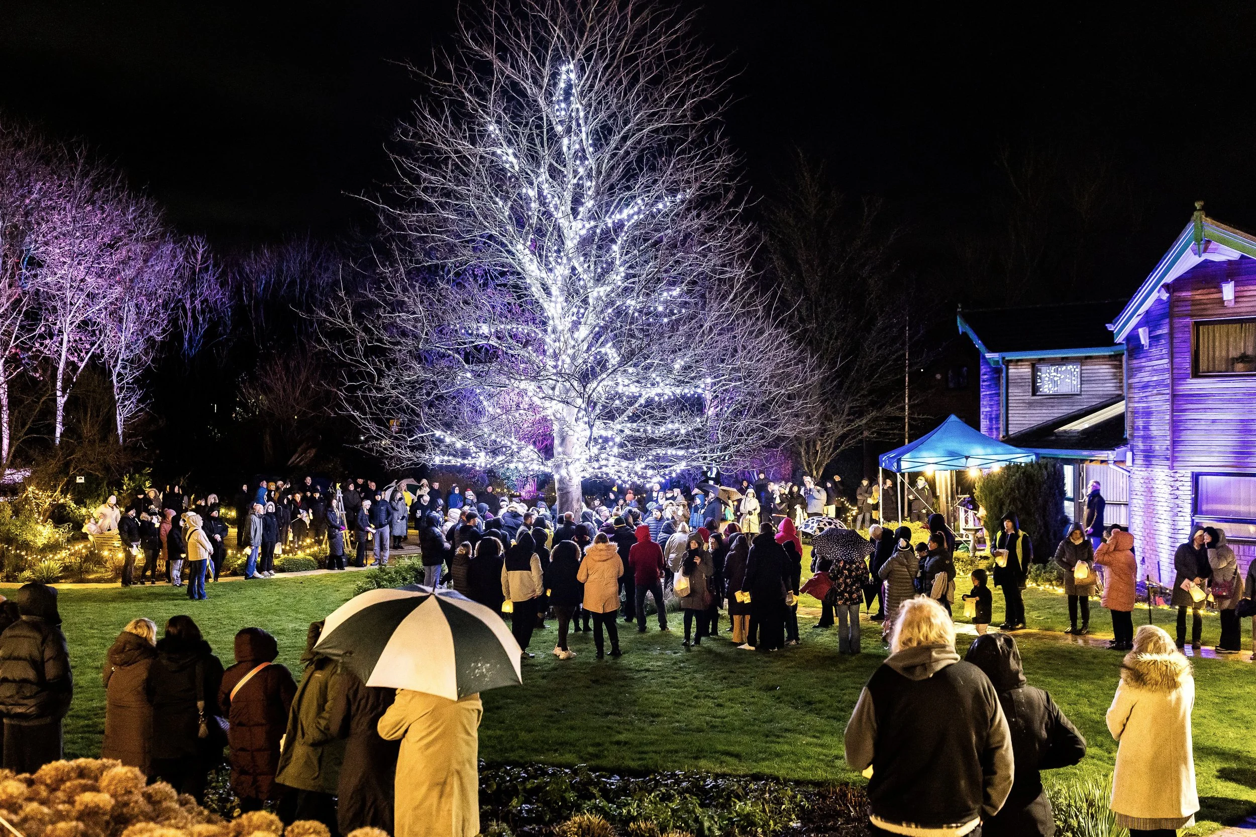 The Tree of Life illuminated at The Kirkwood's Light up a Life event, Huddersfield"