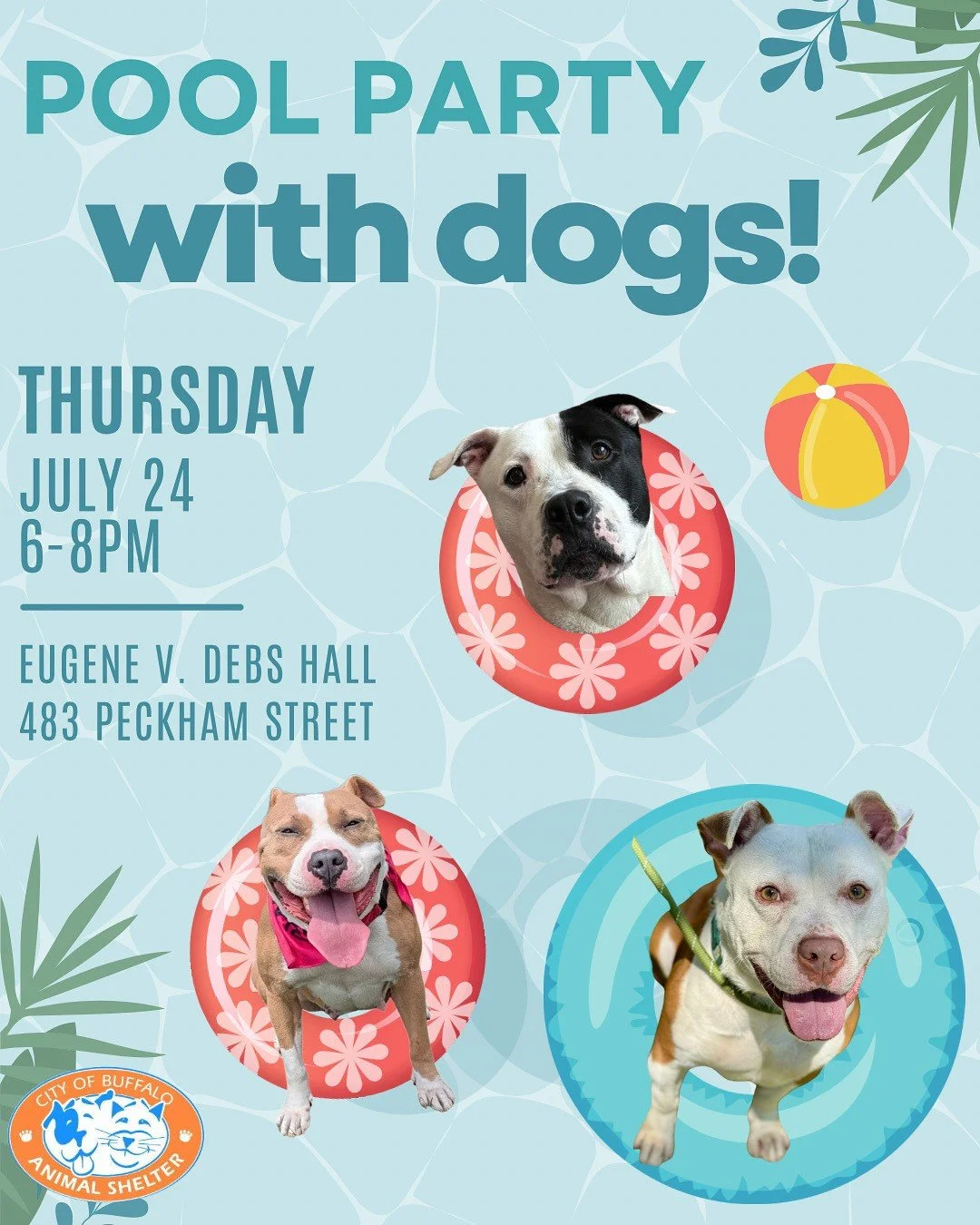 Shelter Dog Happy Hour