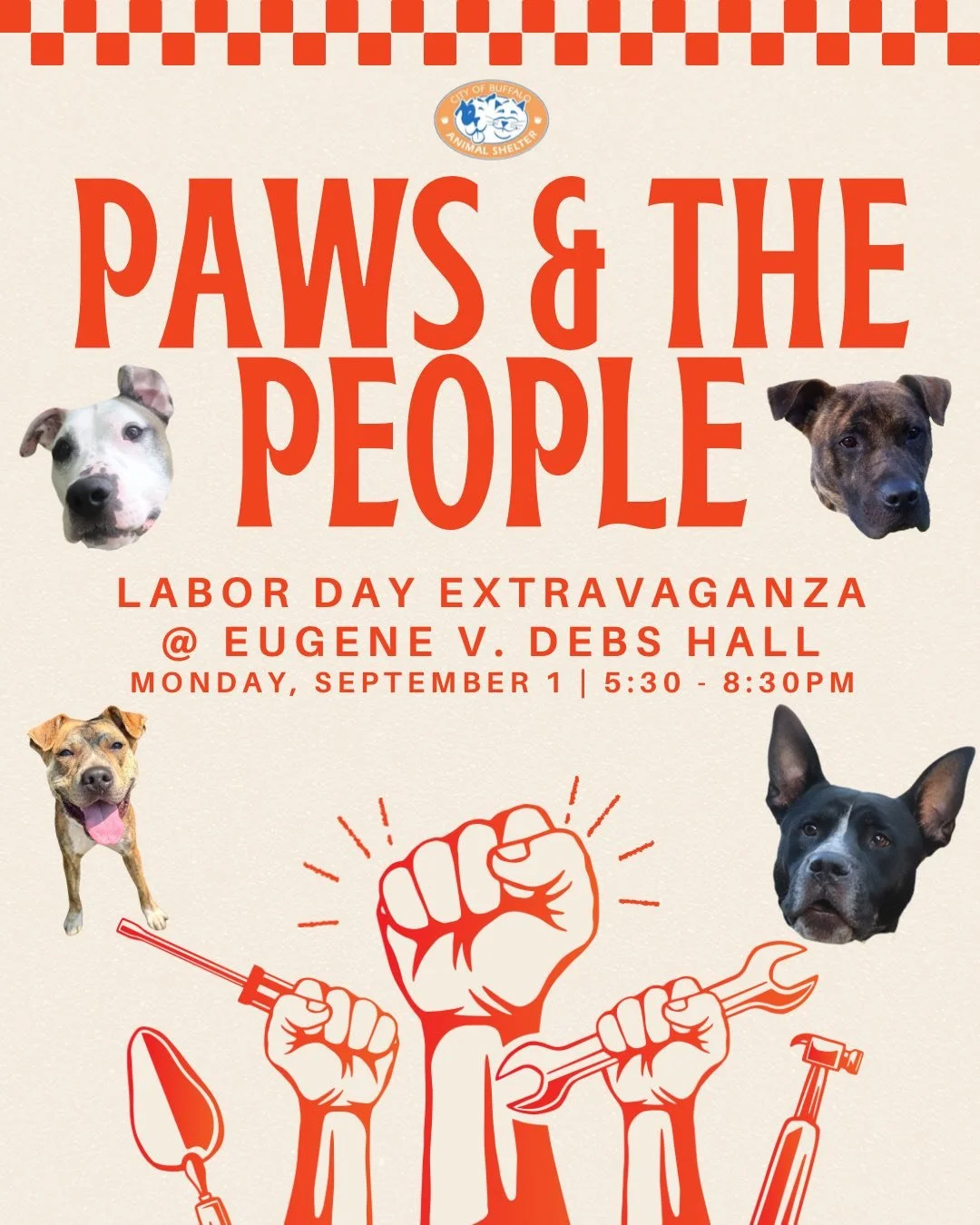 Shelter Dog Happy Hour