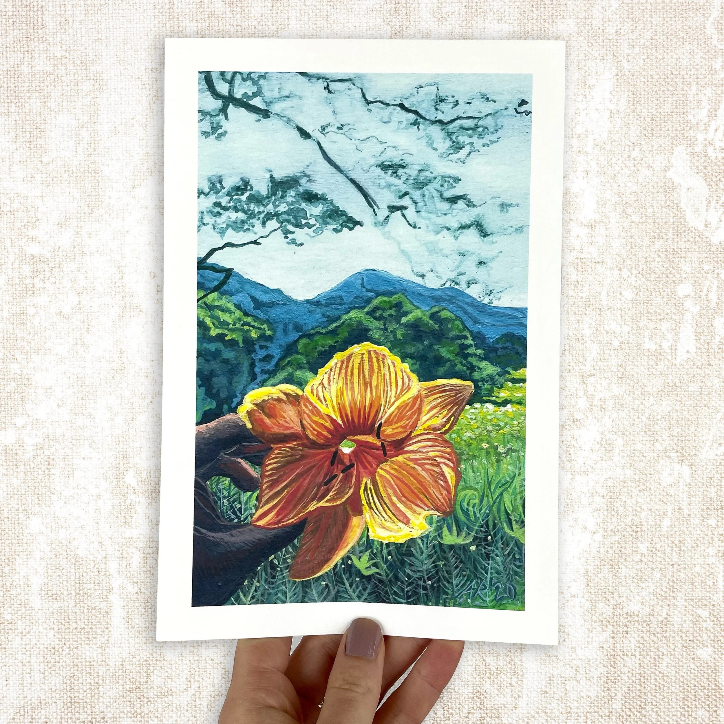 MountainLily_WebsitePhoto.jpg