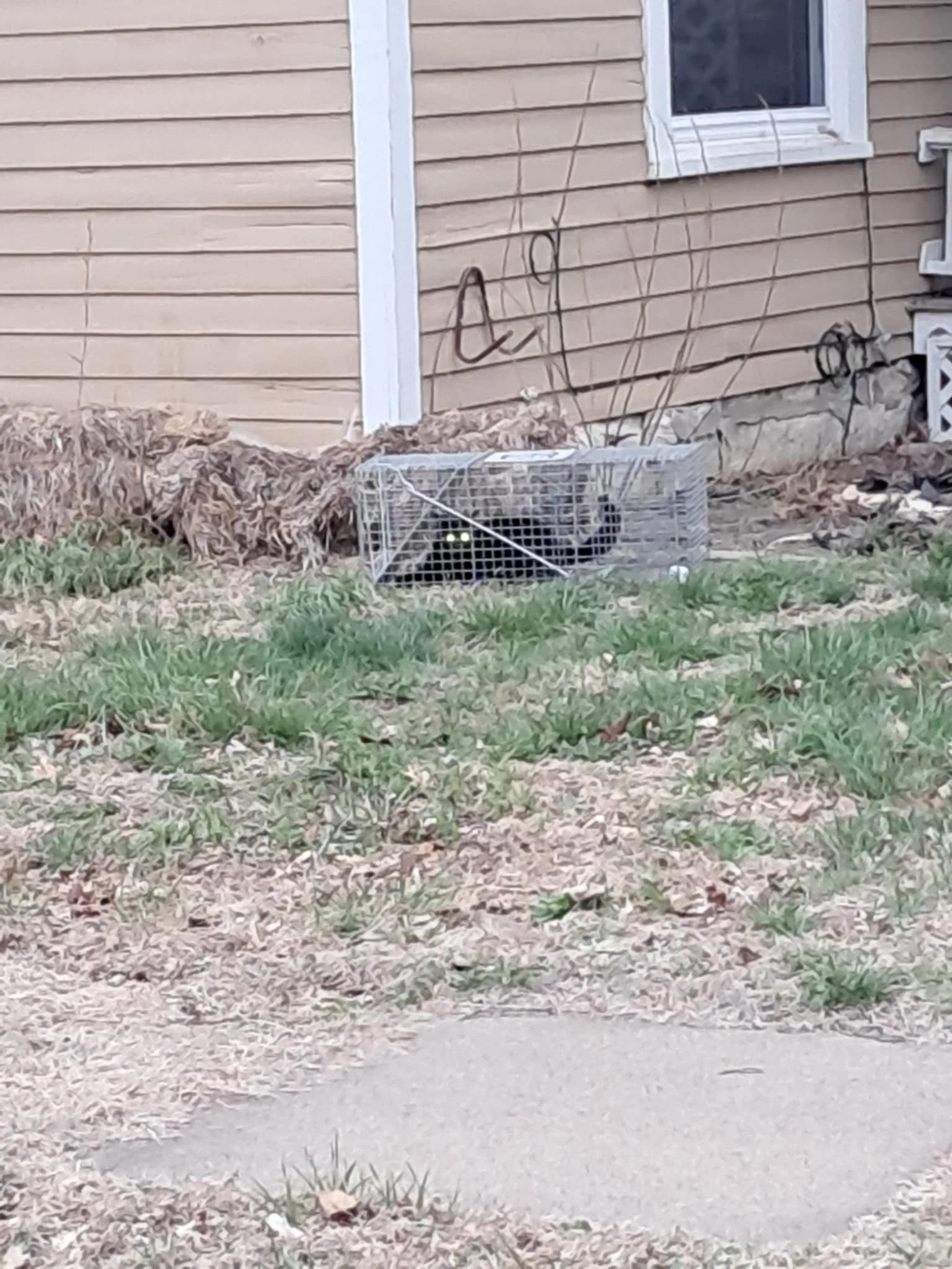 TNR1.jpg