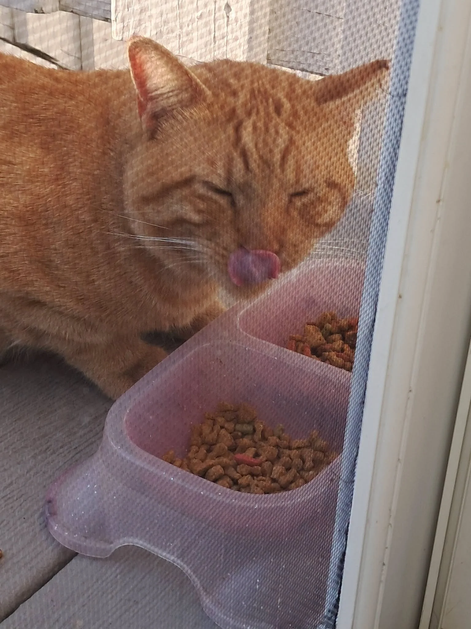 836779572_2532187110635116_8103560334827296091_n.jpeg