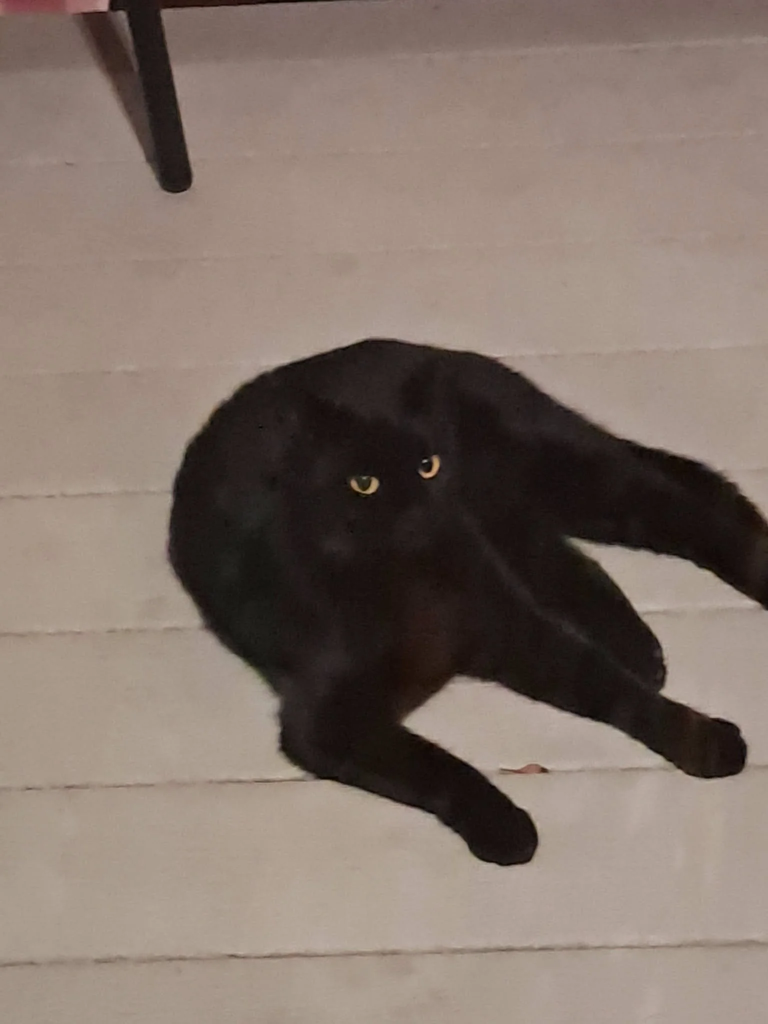 841816122_1094253970158391_1295894143029347904_n.jpeg