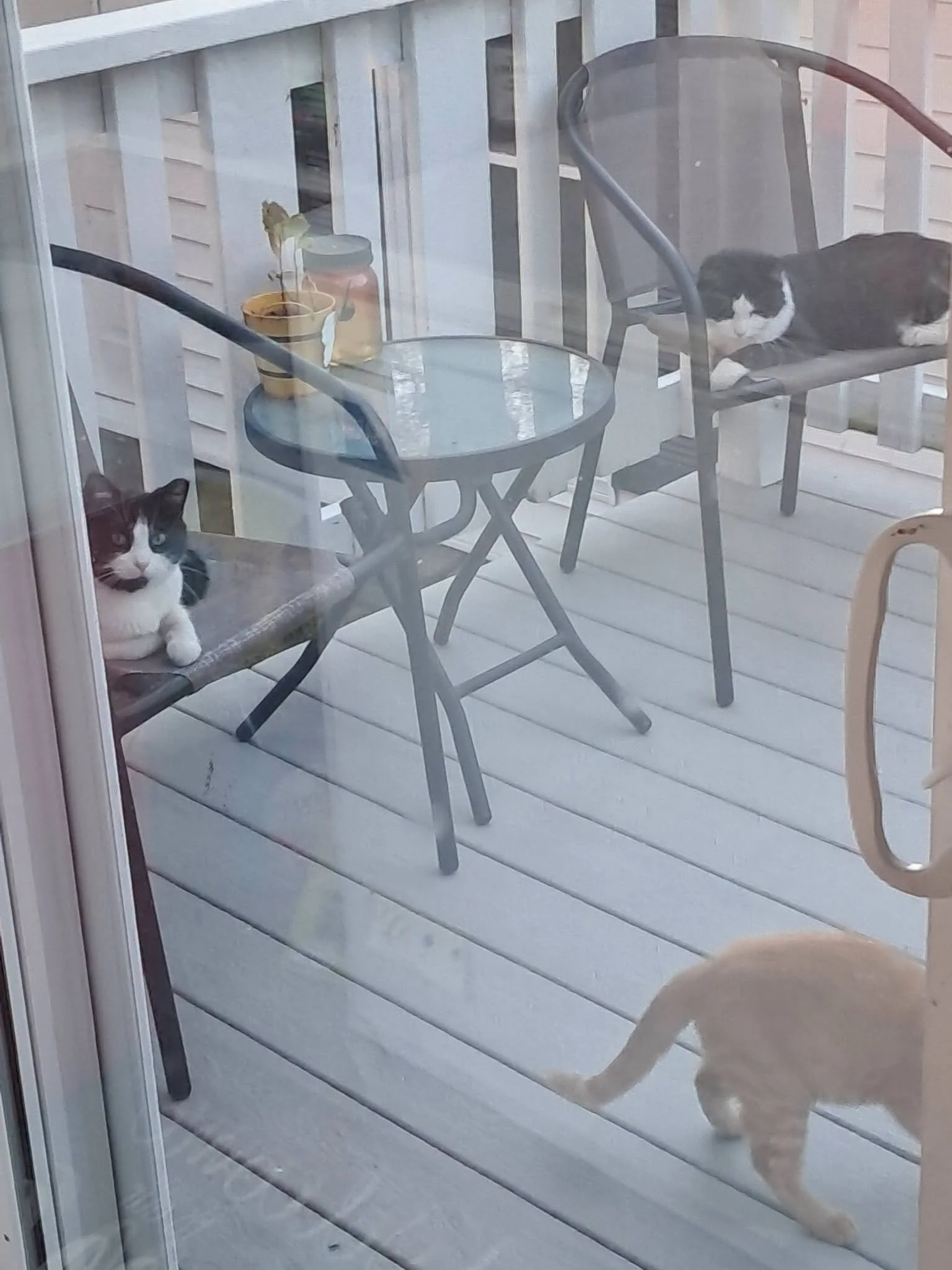 839631885_1703712757710949_5851702664205558290_n.jpeg