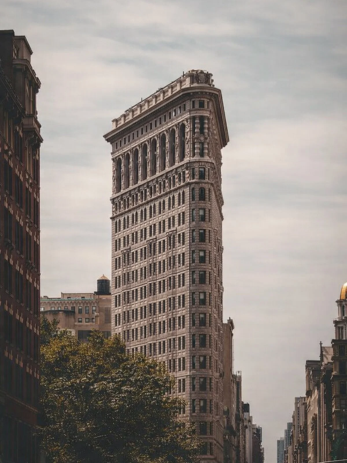 Twenty years ago, I arrived in New York with an art degree, a suitcase, and a dream that felt bigger than I knew how to hold.

I worked in an art gallery.
The recession came. I lost my job.
I found another gallery job. Lost that too.

There were year