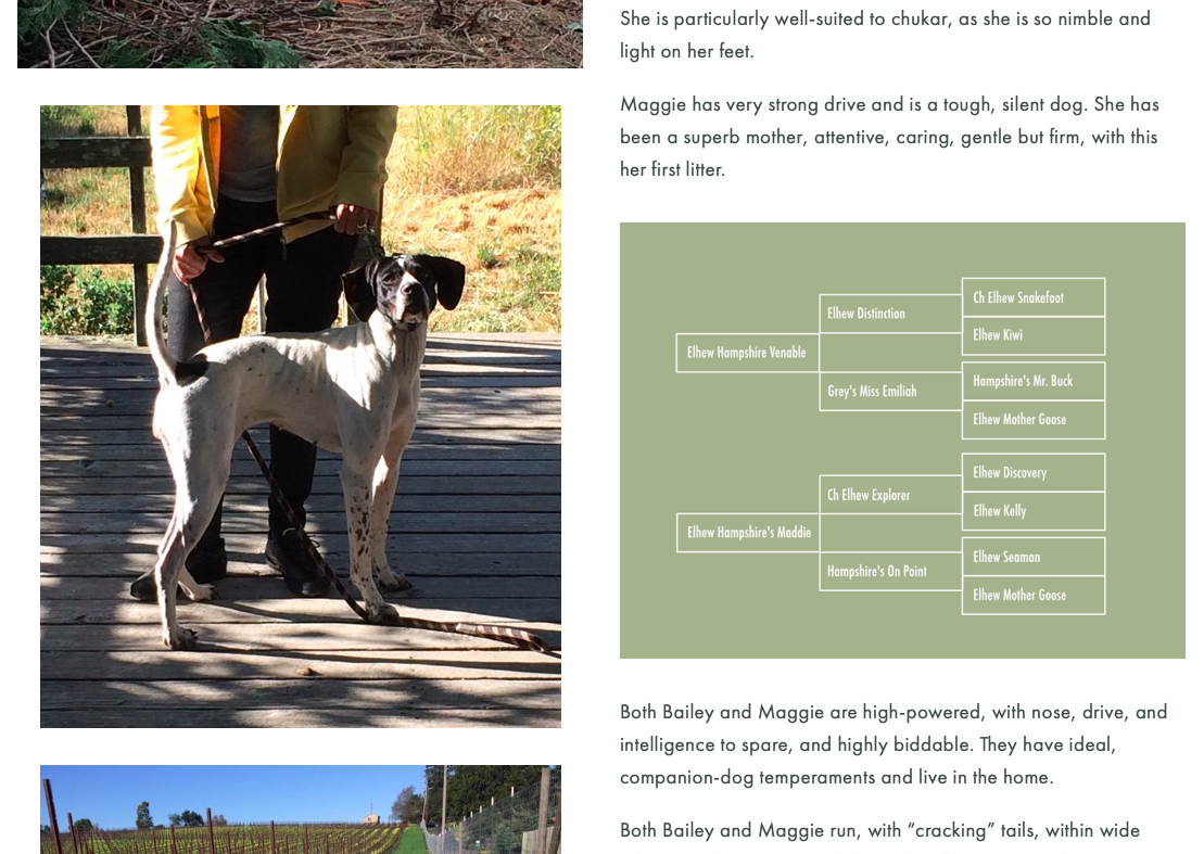 Screen Shot 2020-02-28 at 12.39.16 PM.png